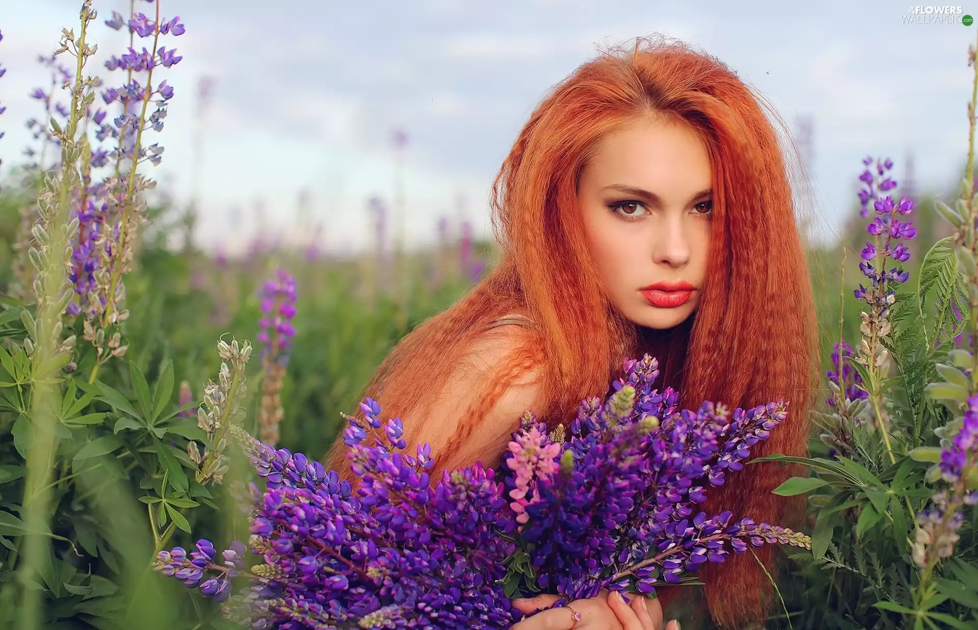 lupine, redhead, Women