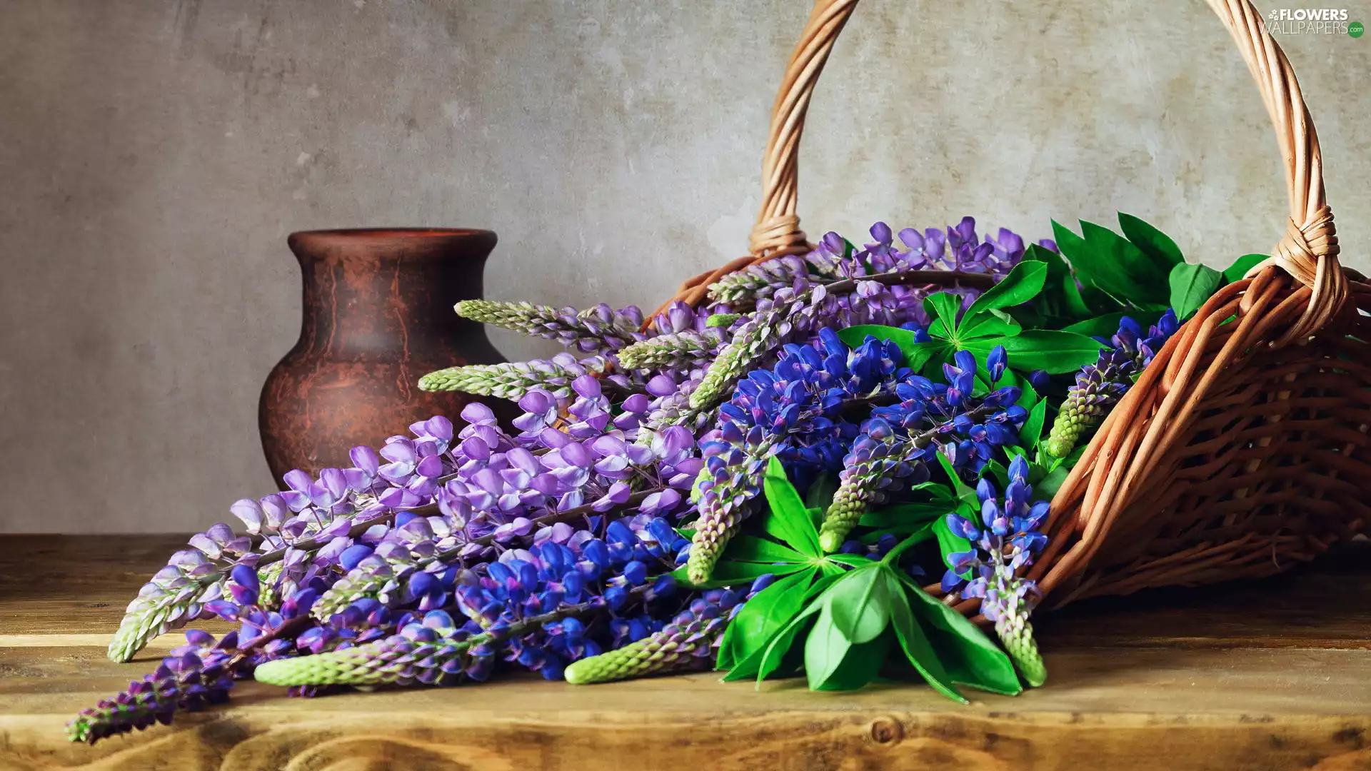 Flowers, lupins, pitcher, color, basket
