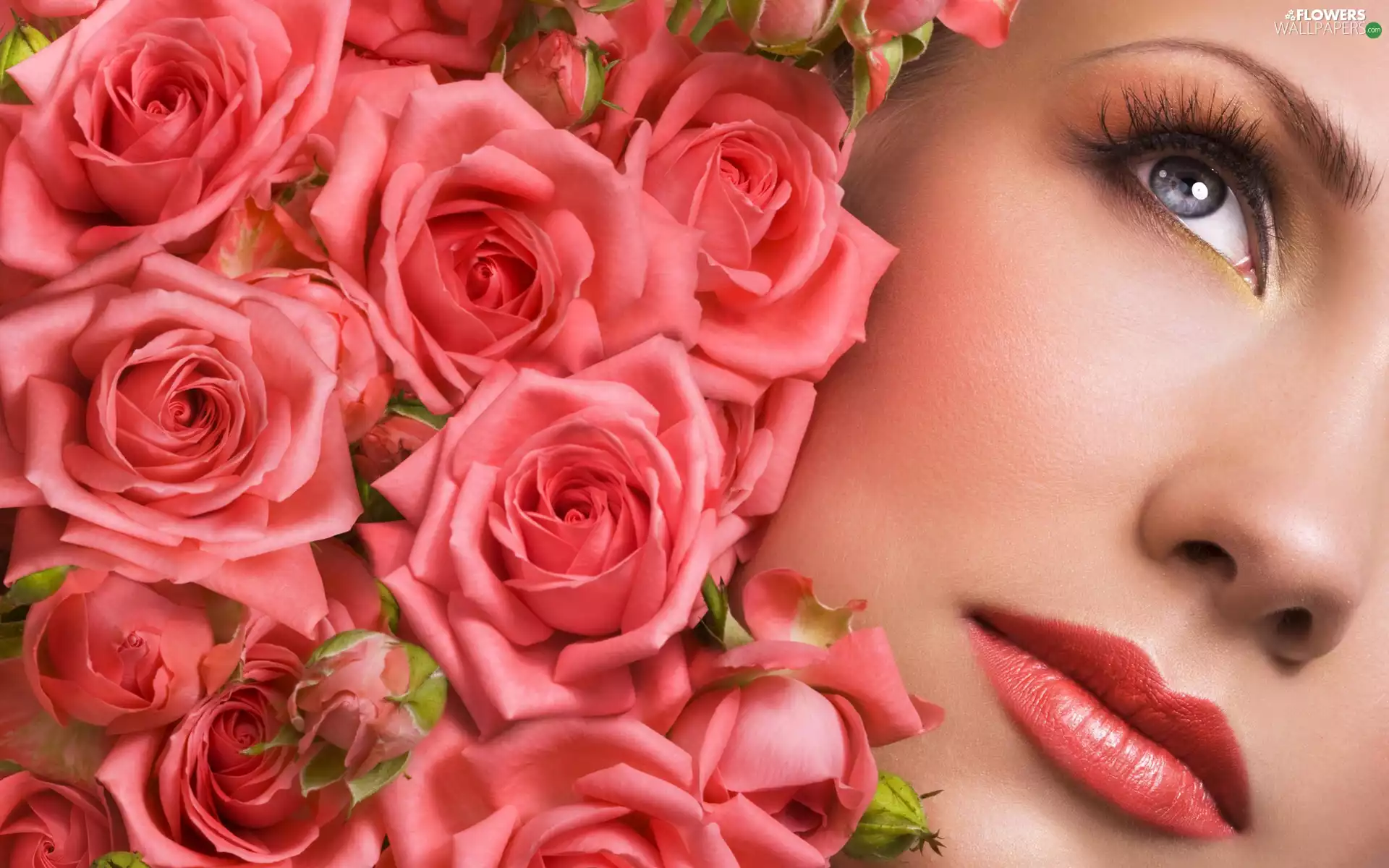 roses, Women, make-up, face