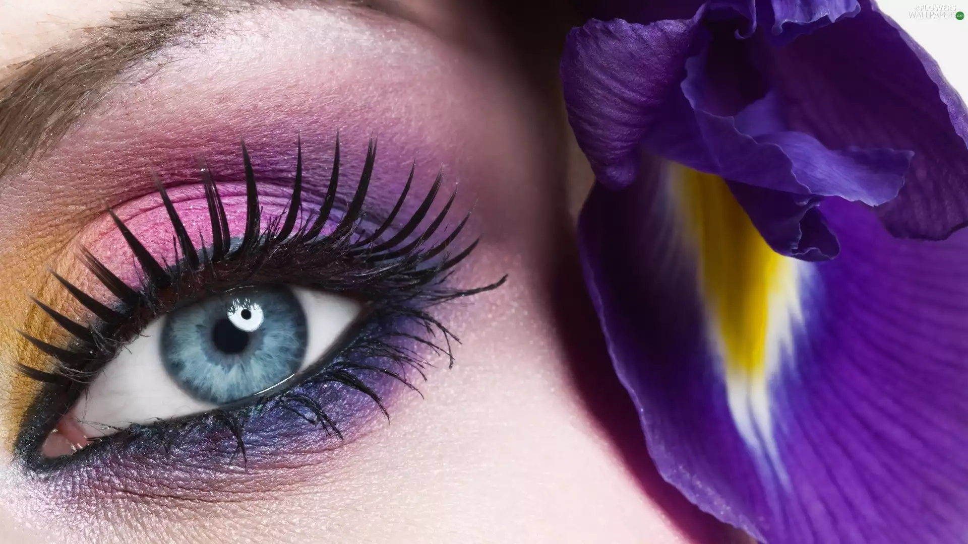 Women, make-up, iris, eye