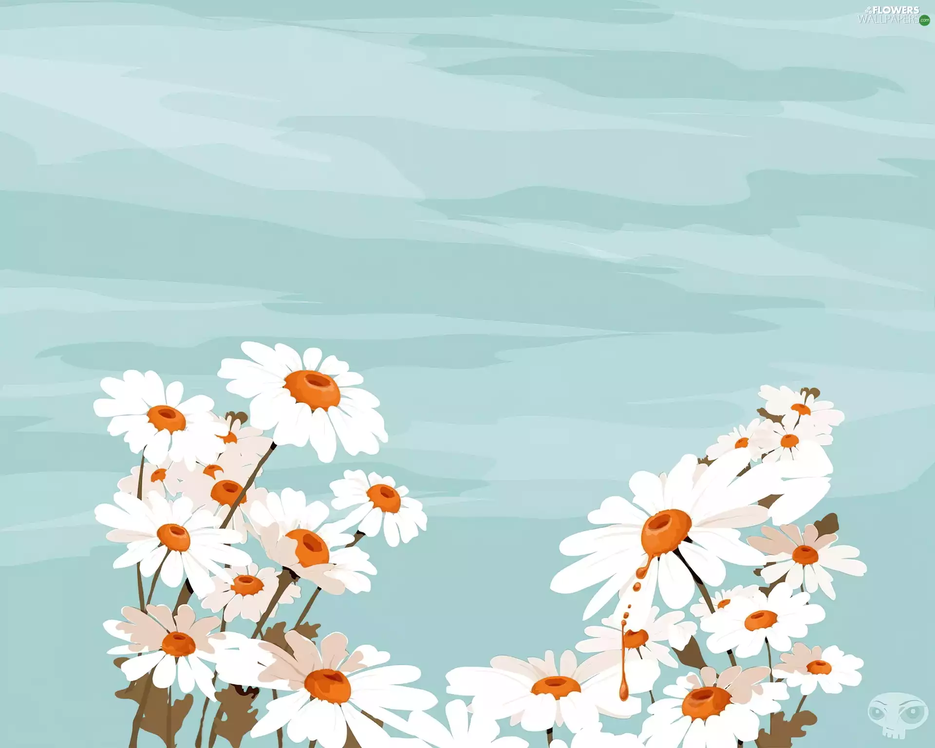 many, Daisies