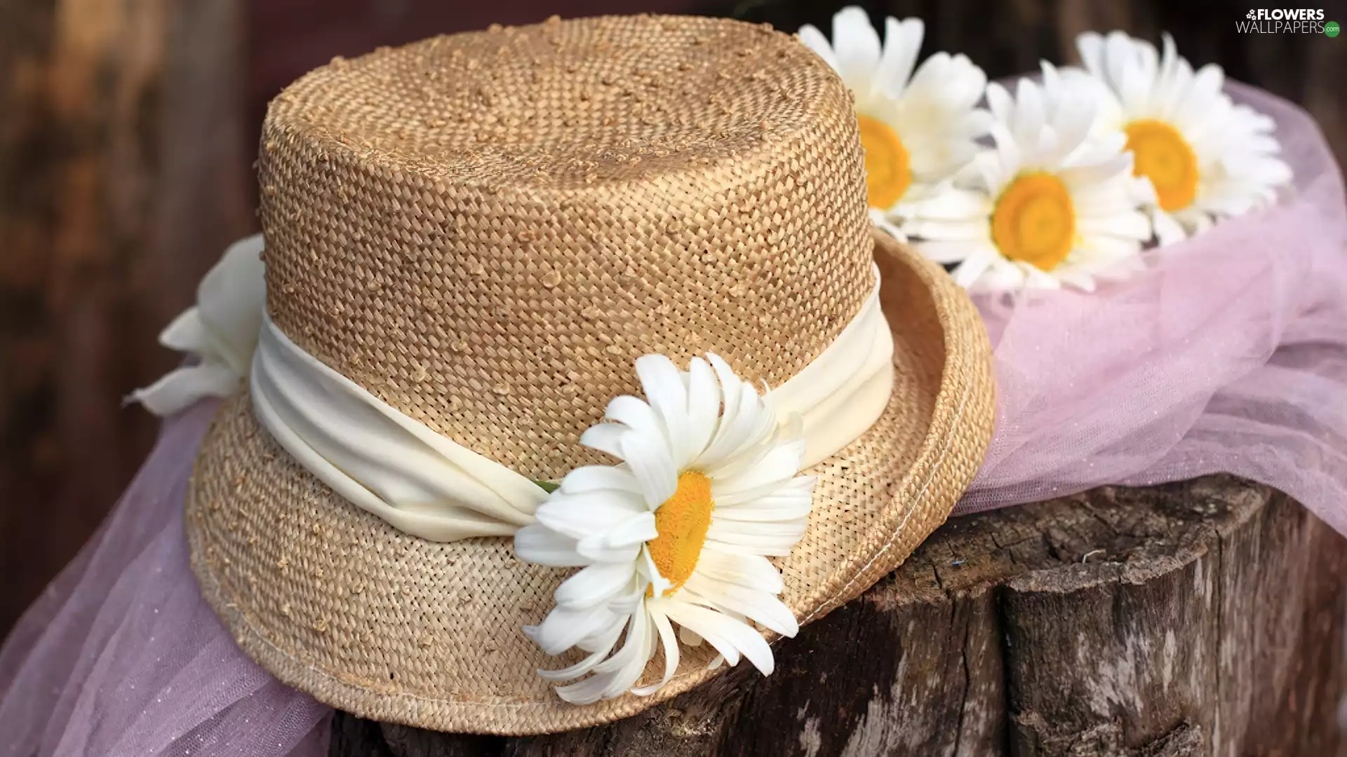 Hat, Margaretki