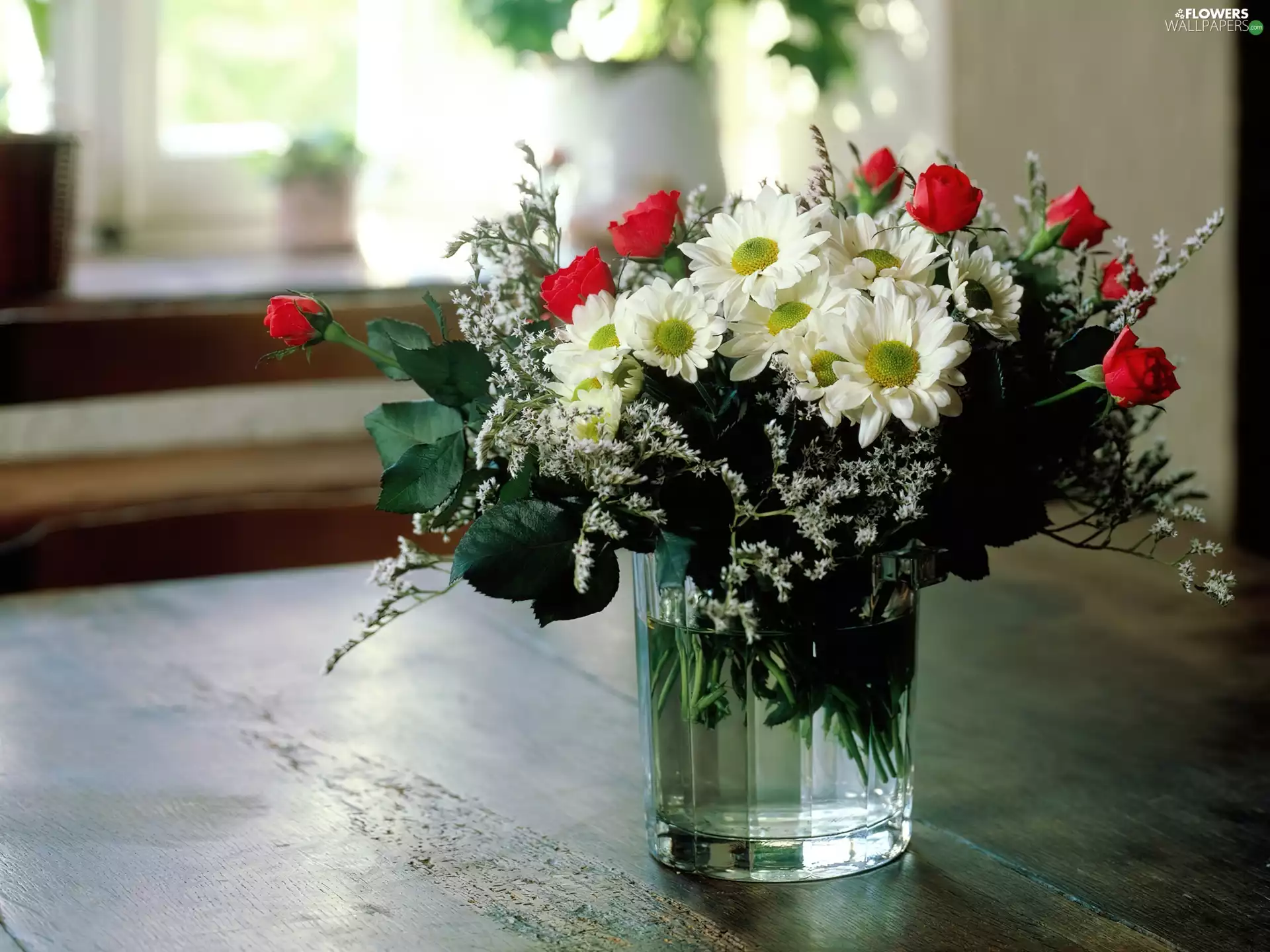 bowl, rouge, marguerites, bouquet