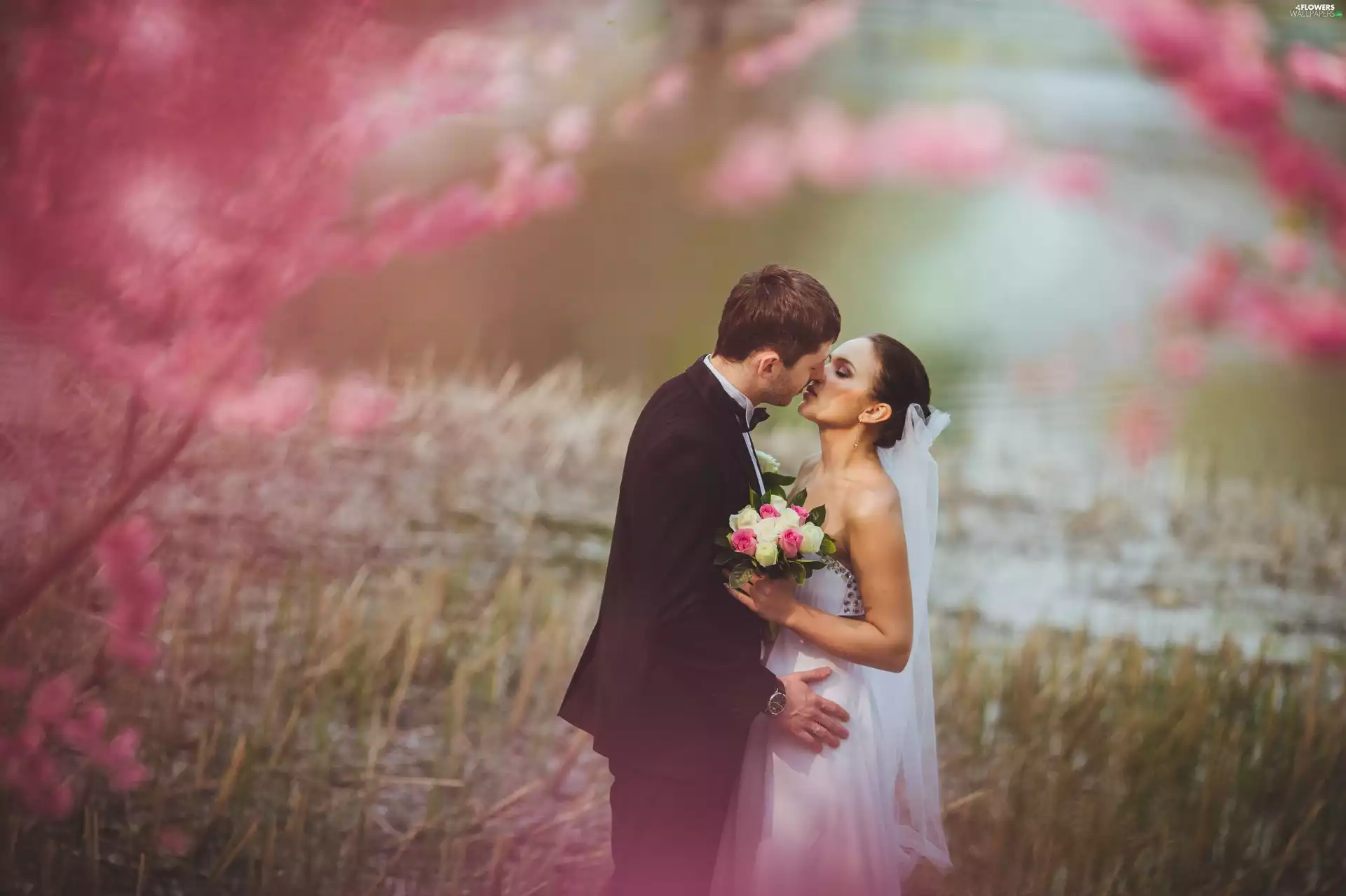 bunch, young, kiss, marriage, Steam, Flowers, blur