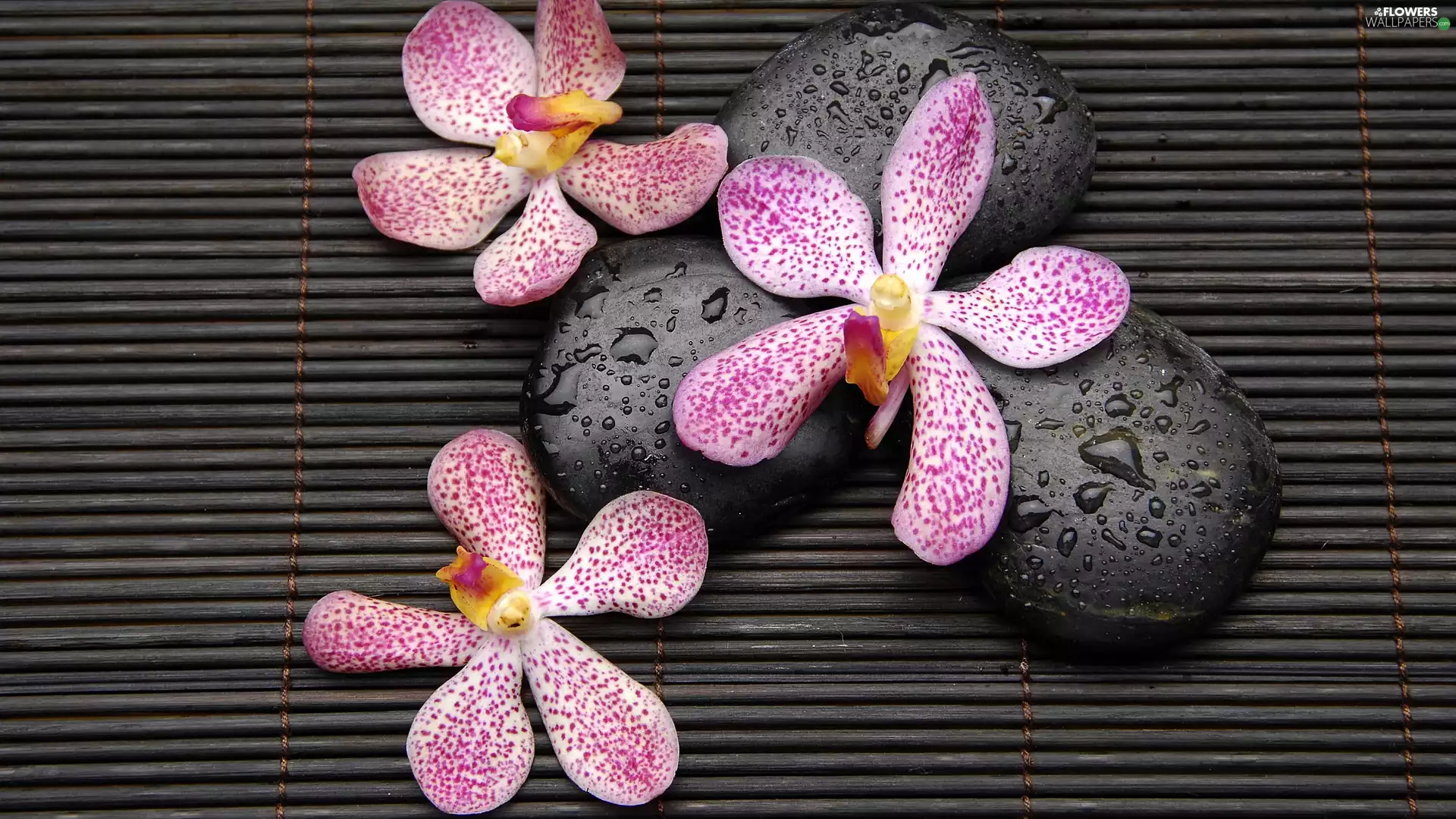 mat, orchid, Stones