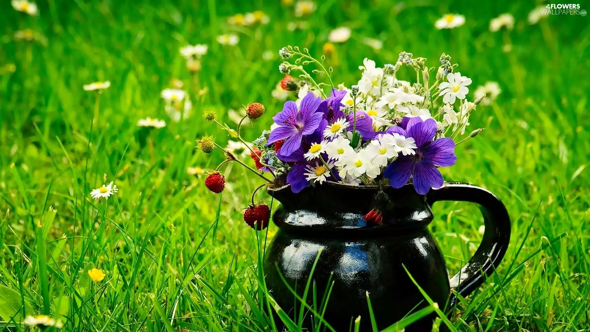 wild, jug, Strawberries, Meadow, flowers, small bunch