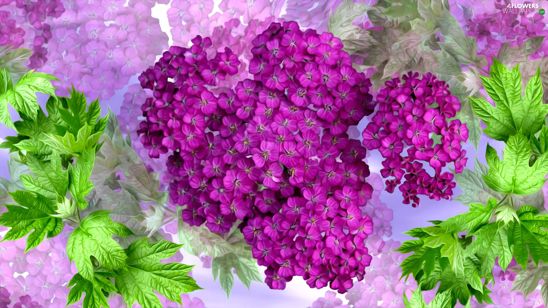 Flowers, leaves, graphics, milfoil