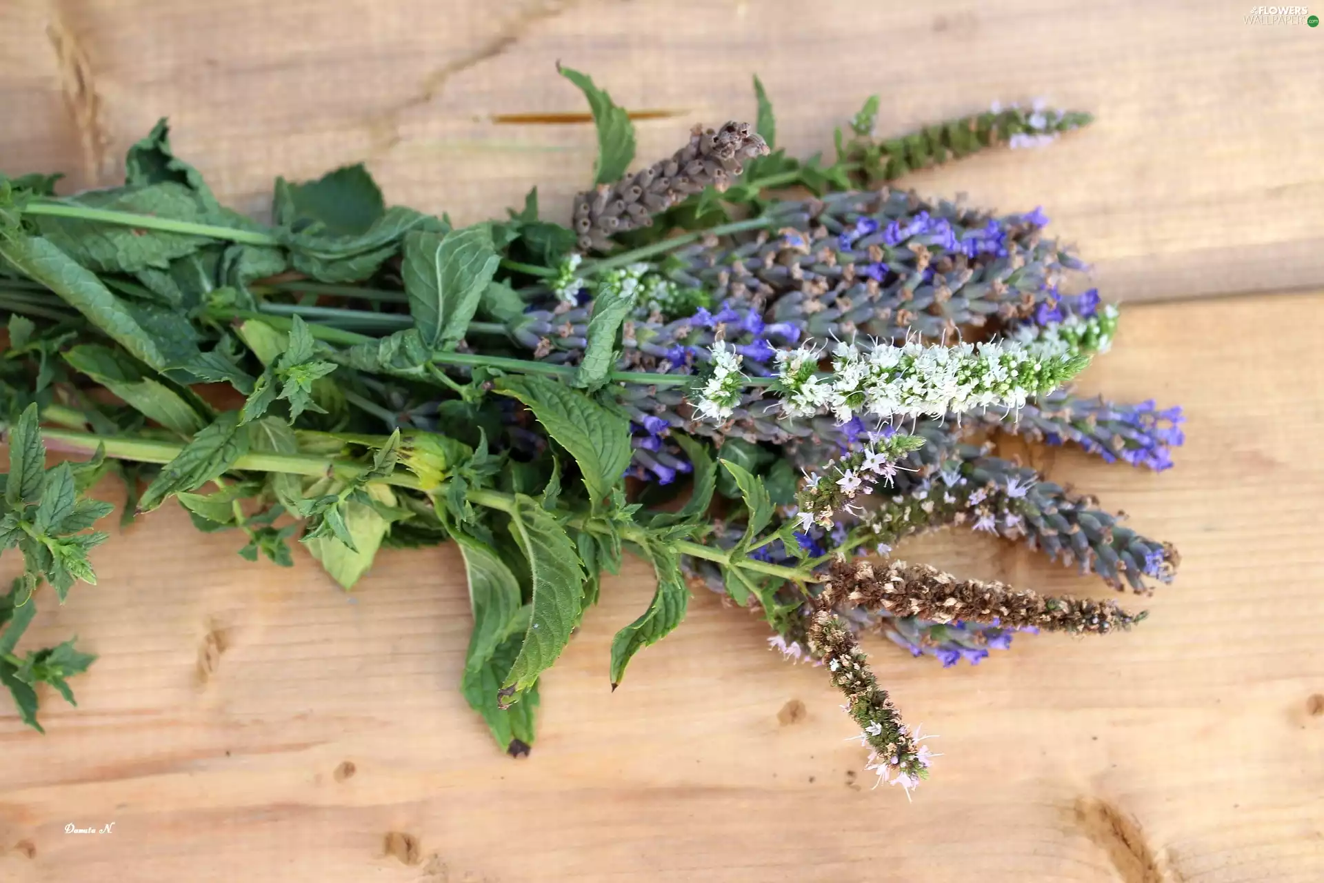For Frying, boarding, mint, bouquet, lavender