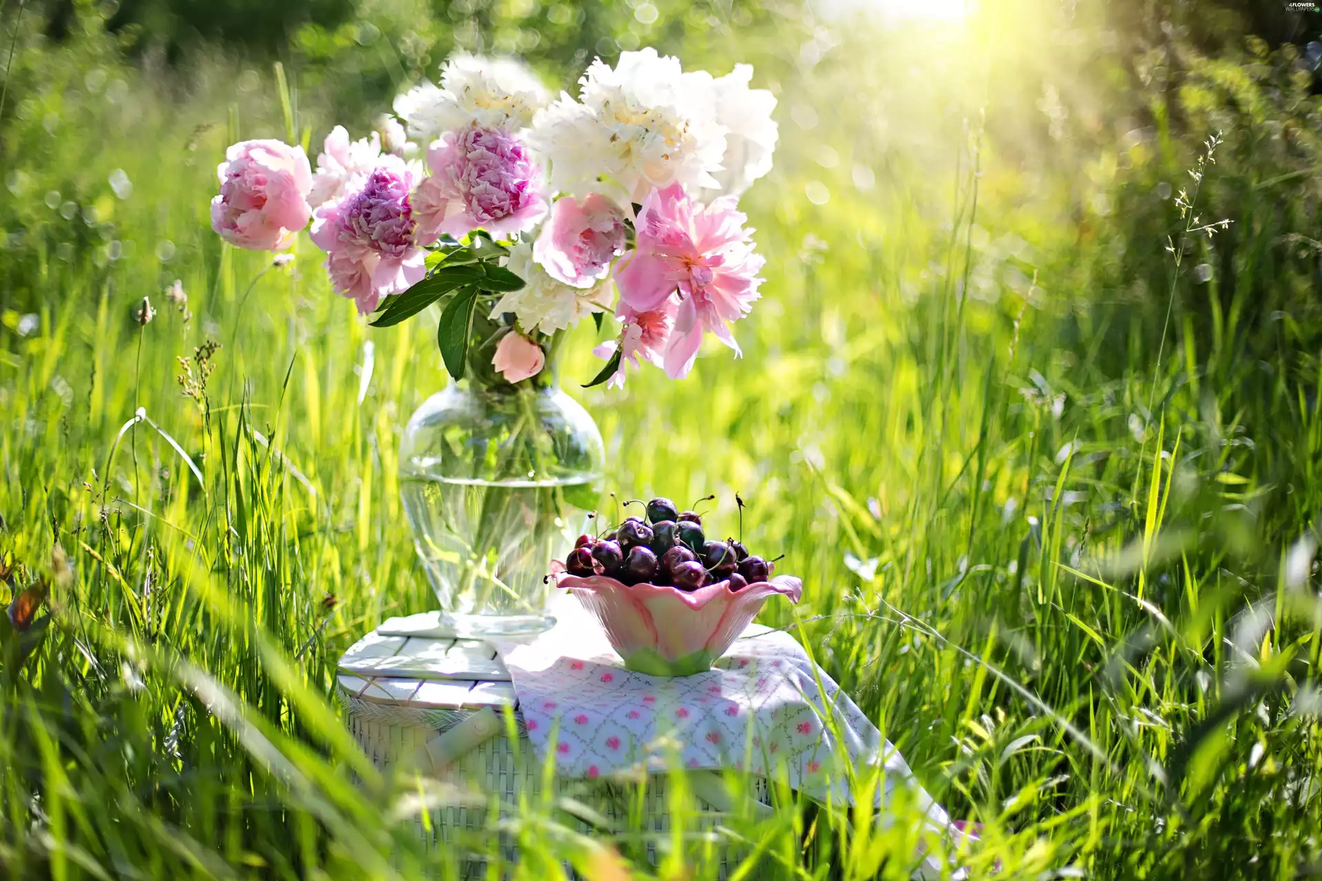 grass, morning, bouquet, cherries, Peonies