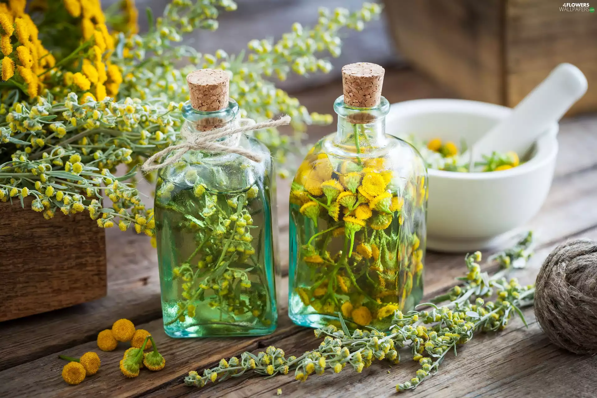 Bottles, mortar, Tansy, Goldenrod, plant