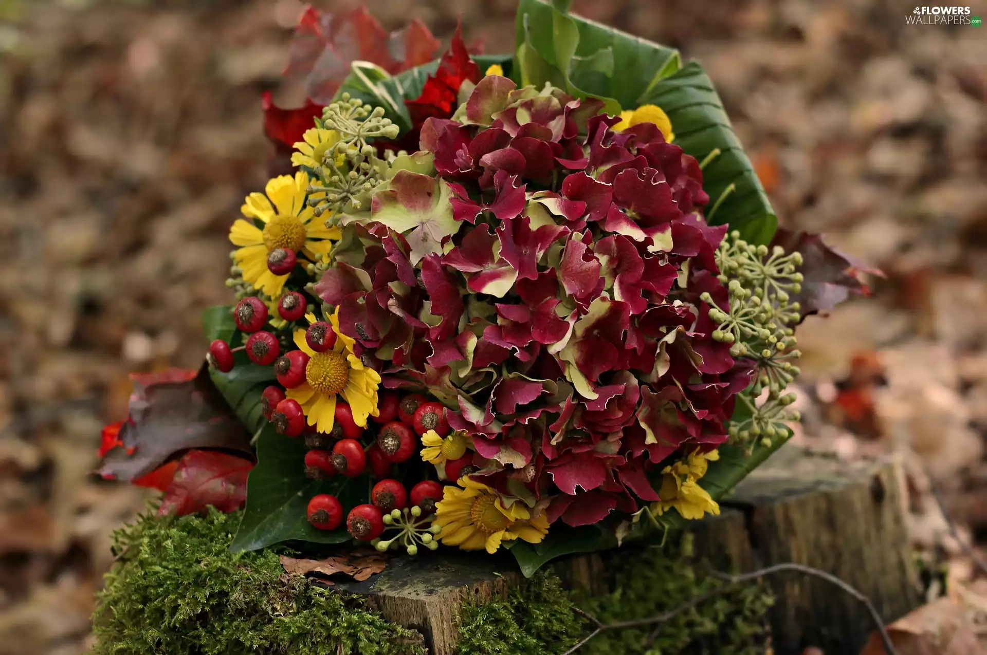 Yellow, bouquet, trunk, Moss, Flowers, hydrangea