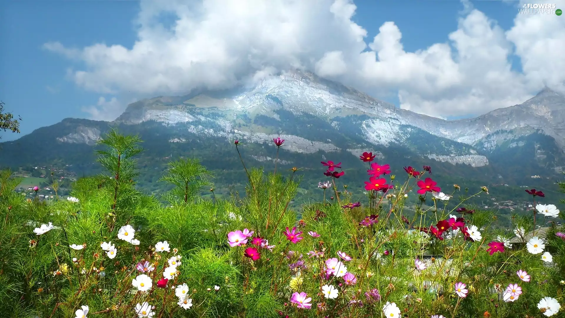 France, Mountains, Cosmos, Haute-Savoie