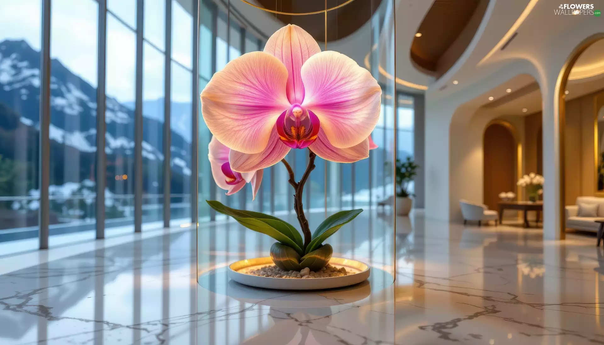 interior, Mountains, Pink, Leaf, orchid