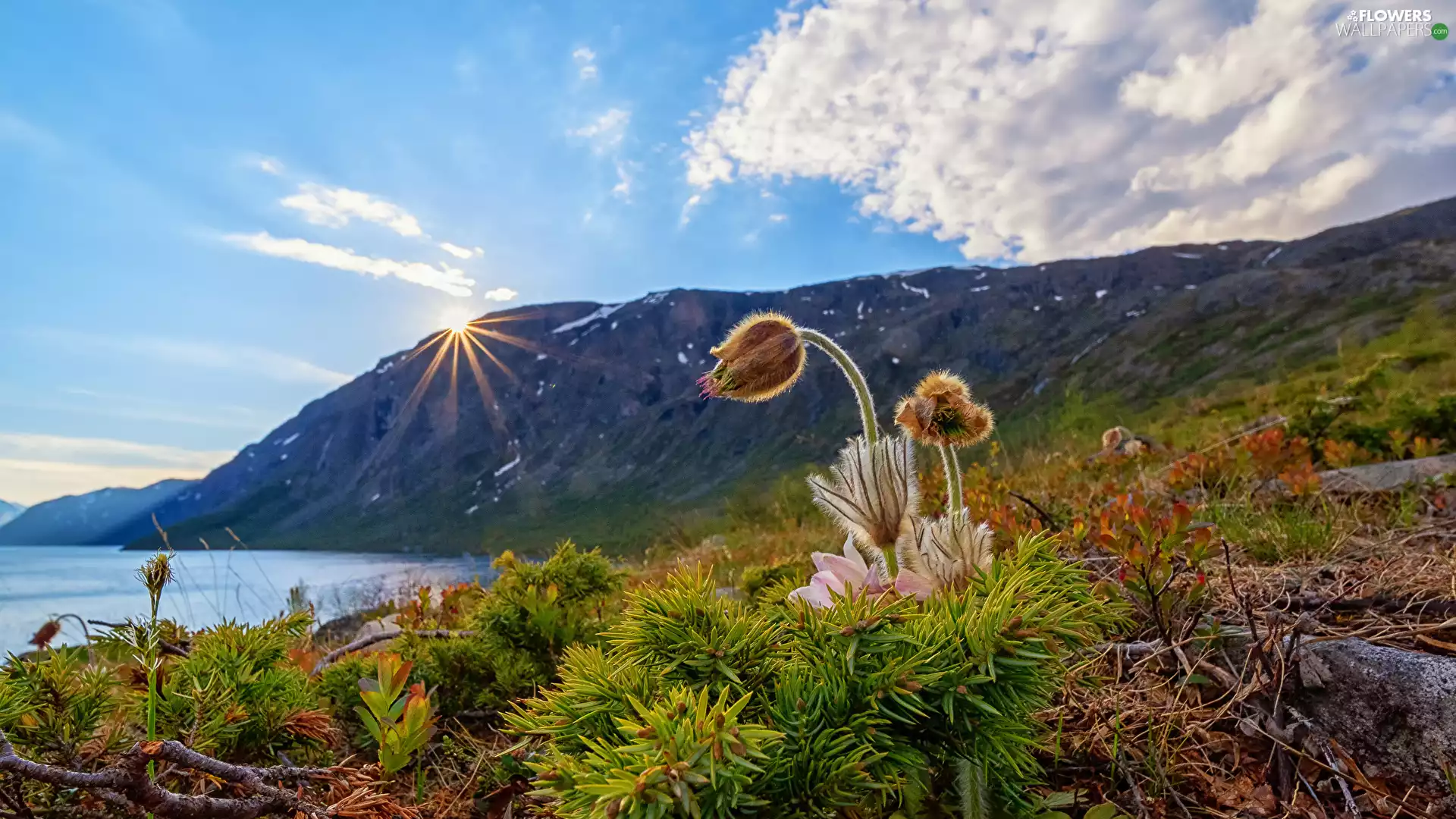 Mountains, pasque, clouds, Plants, Flowers, lake, rays of the Sun
