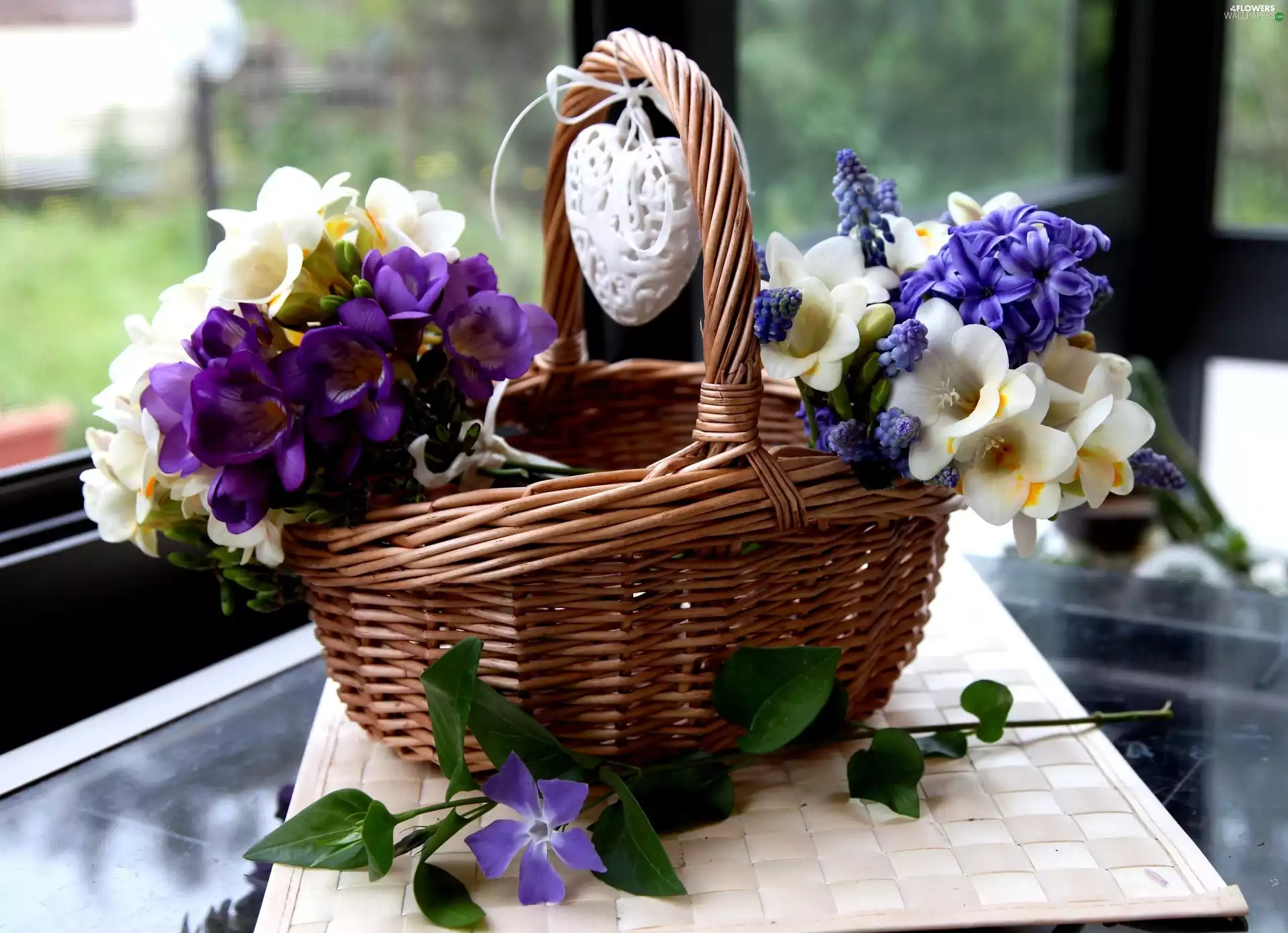 freesia, wicker, basket, Muscari