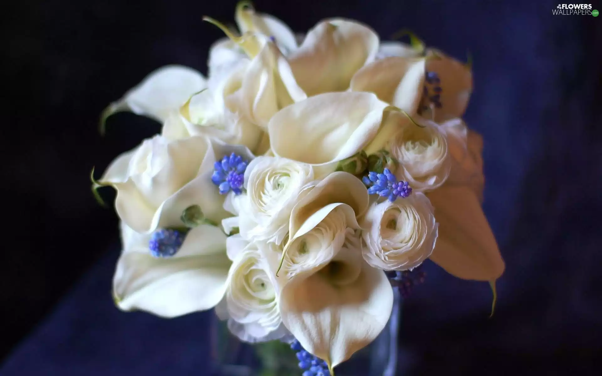 Muscari, Calla, roses