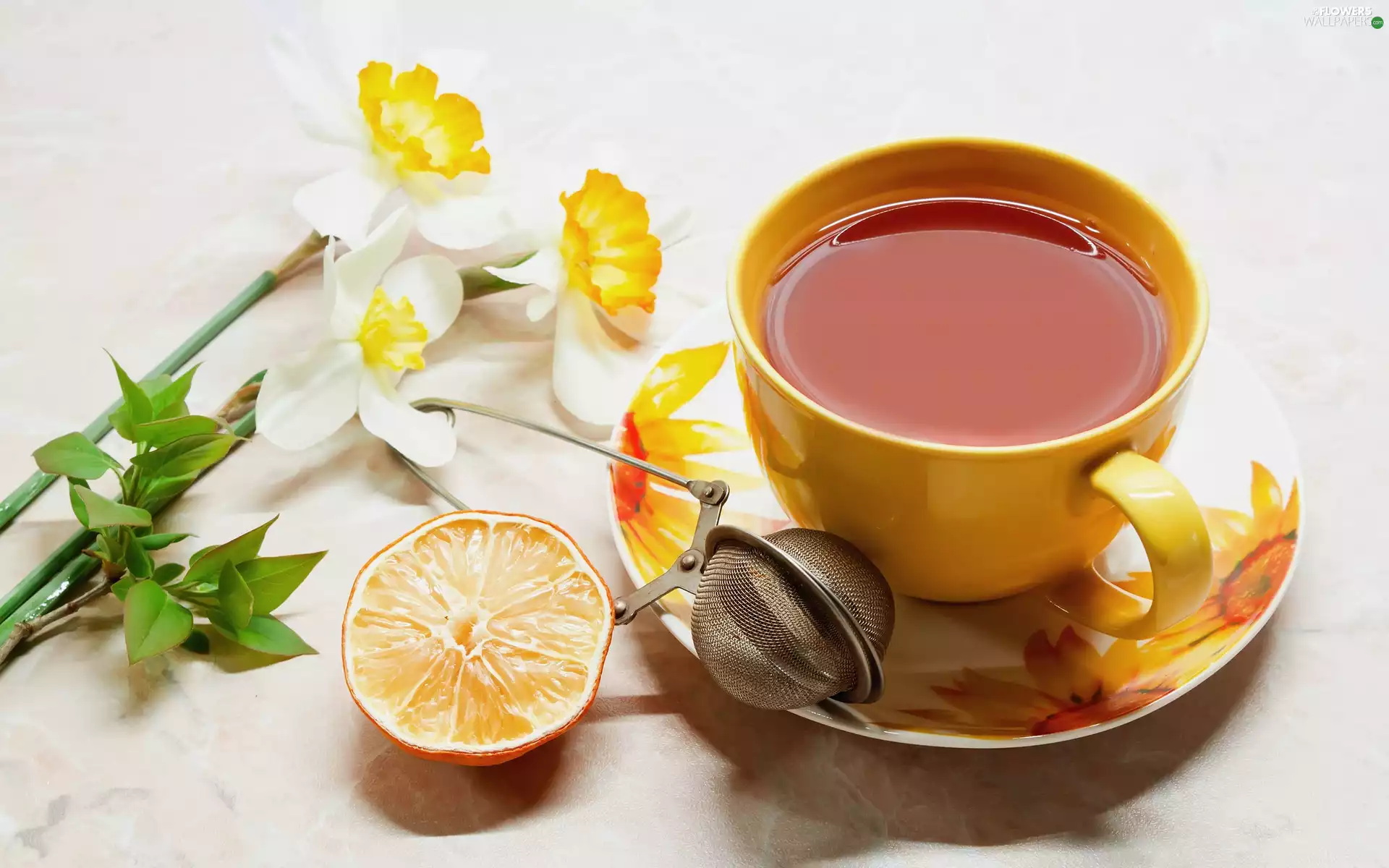 cup, Lemon, narcissus, tea