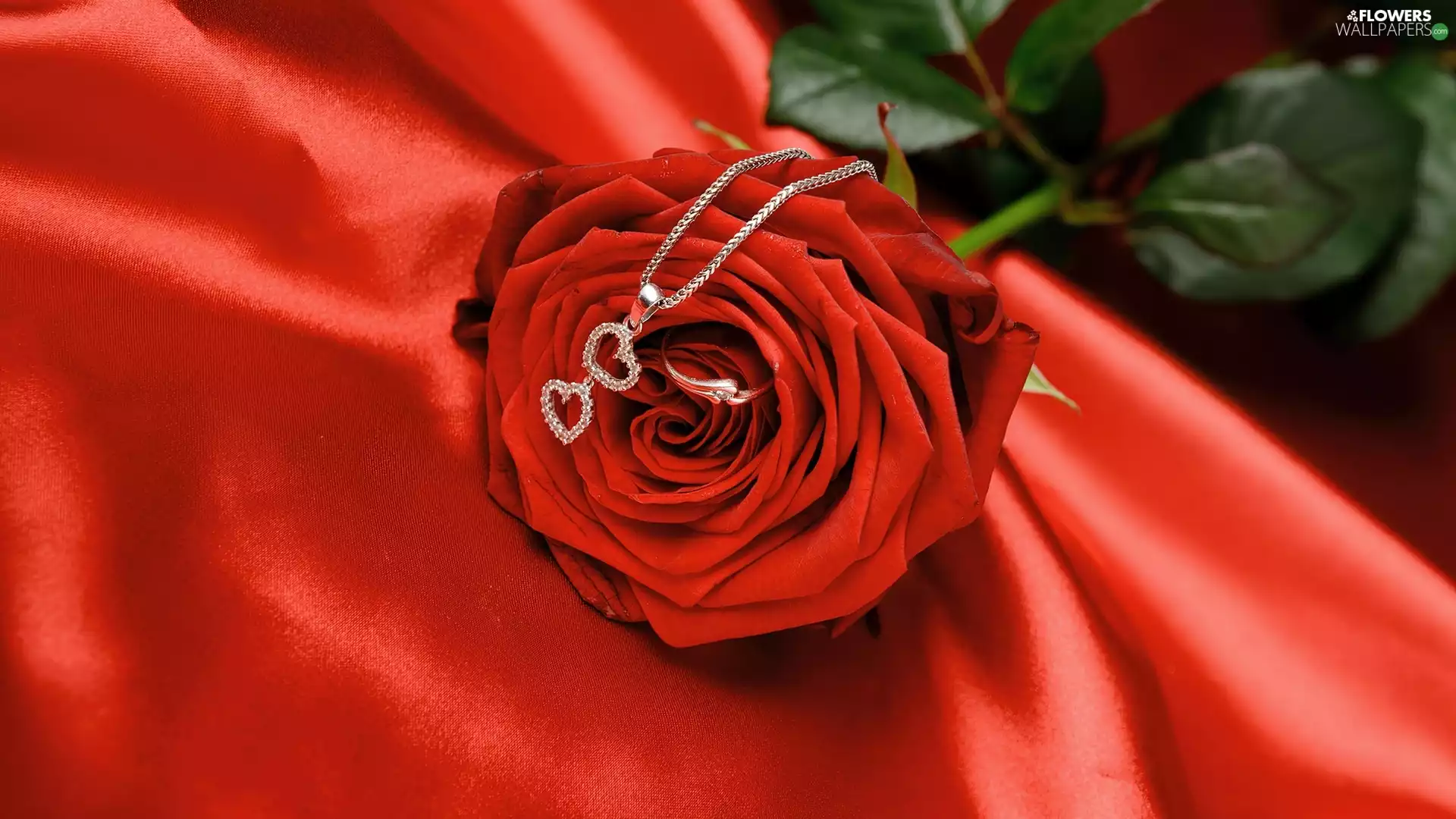 hearts, rose, neck chain