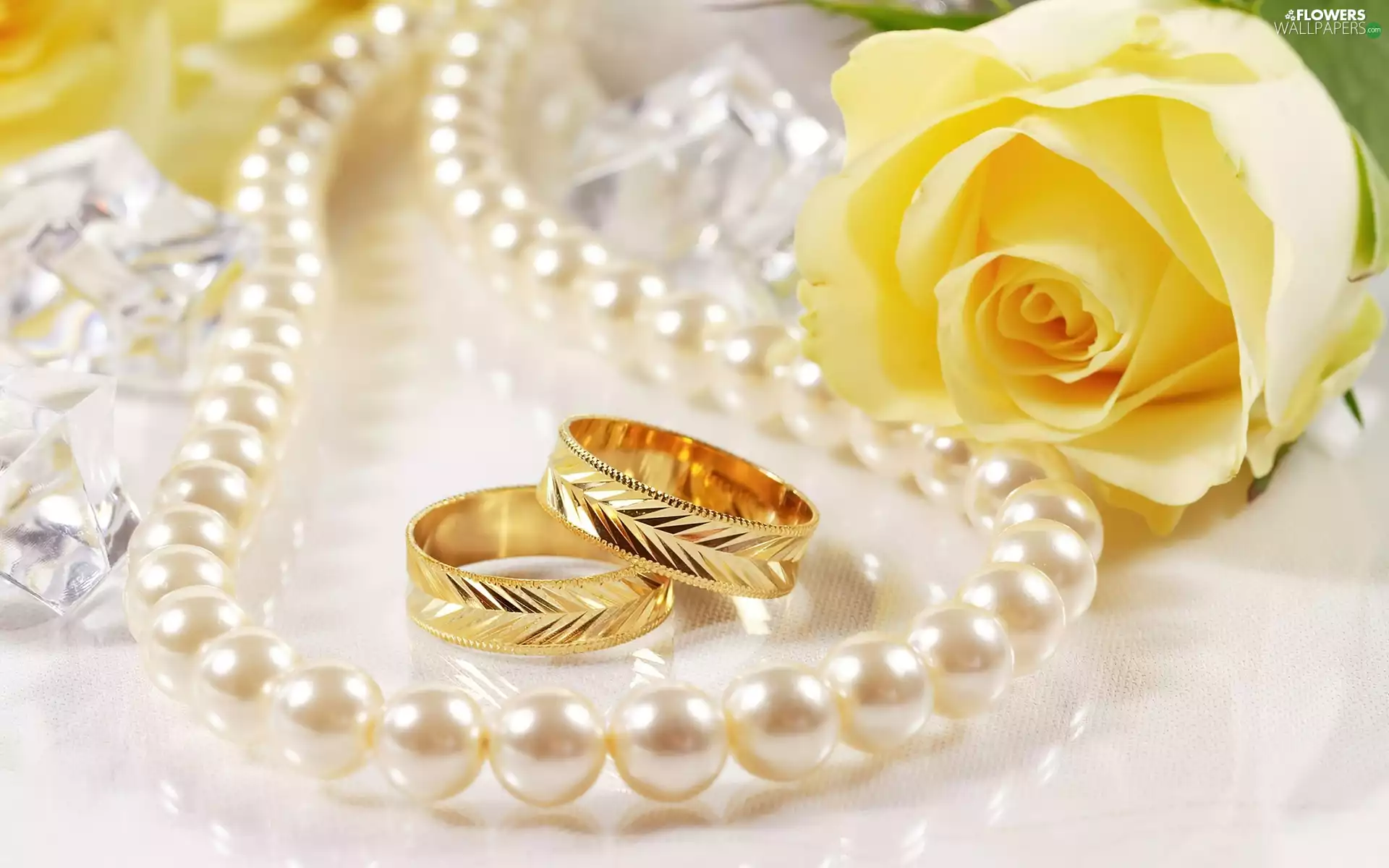 Necklace, Pearl, Yellow Honda, rose, rings