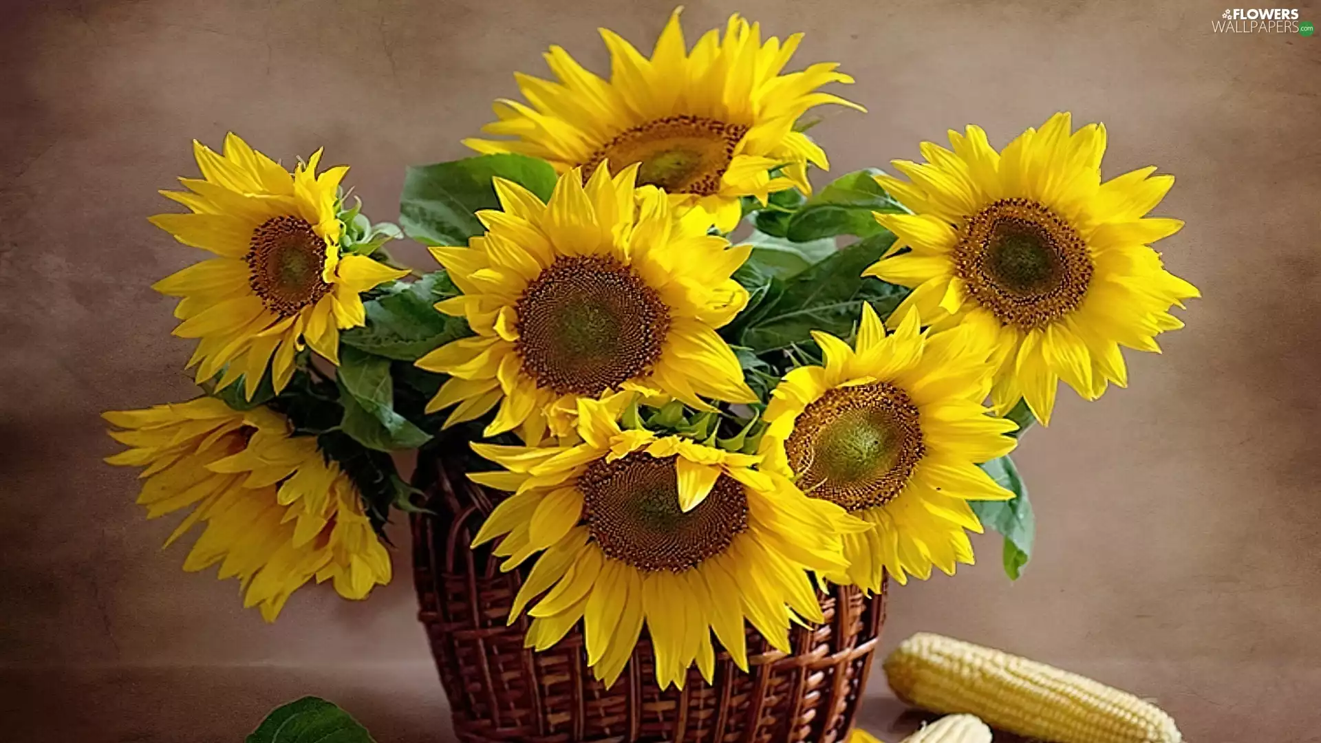 corn, basket, Nice sunflowers