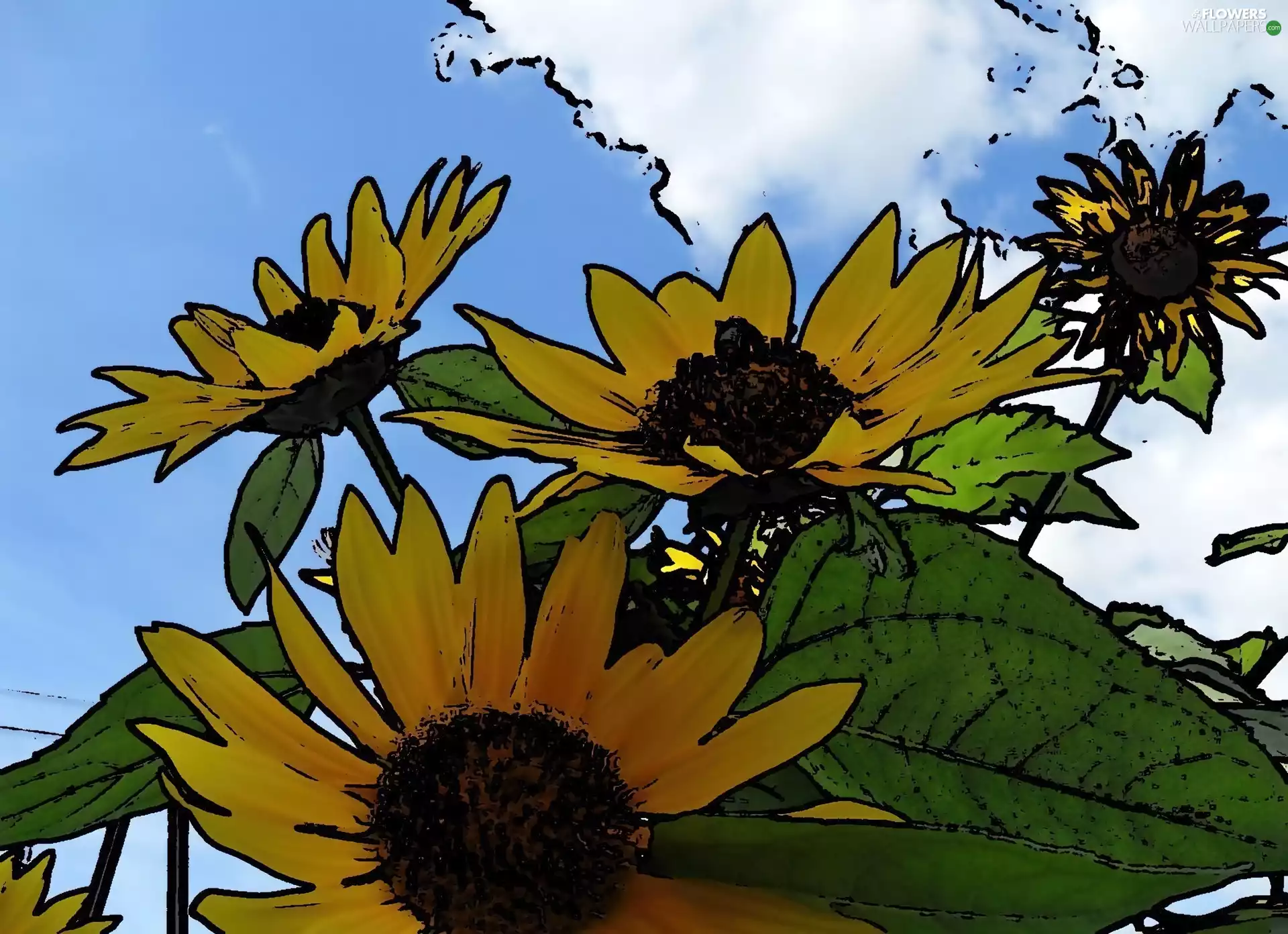 Nice sunflowers, Drawing