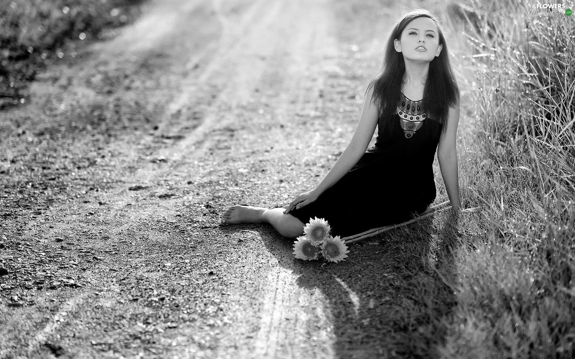 On The Road, girl, Nice sunflowers