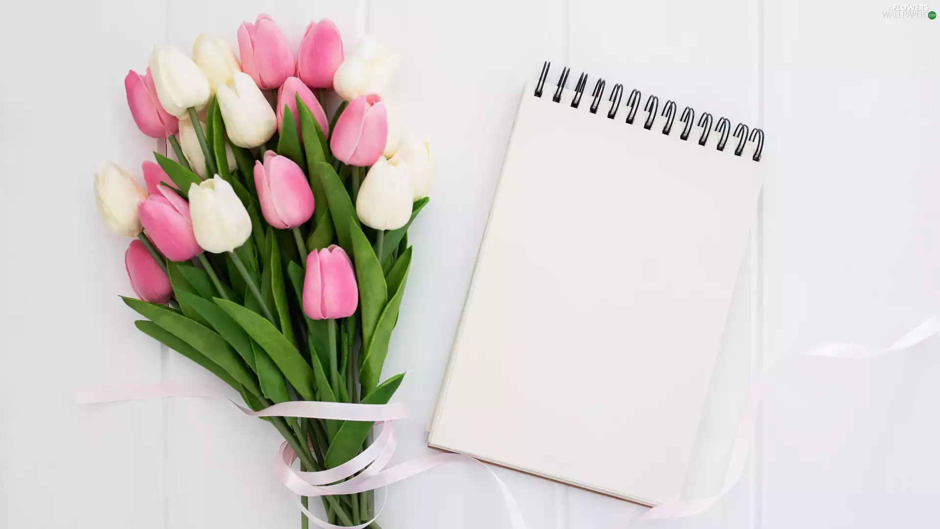 Tulips, Pink, ribbon, note-book, bouquet, White