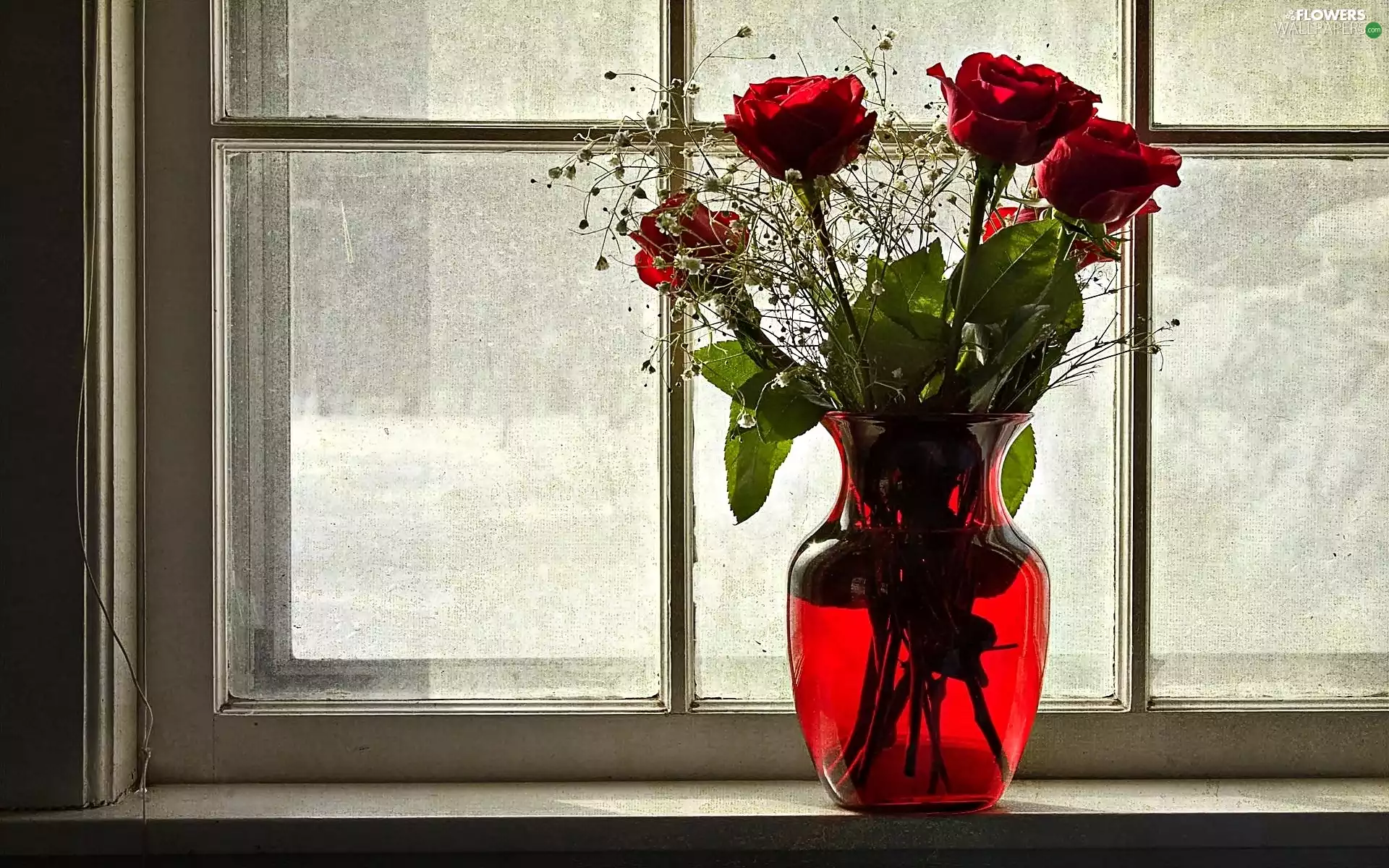 Vase, Window, Bouquet of Flowers, roses, composition