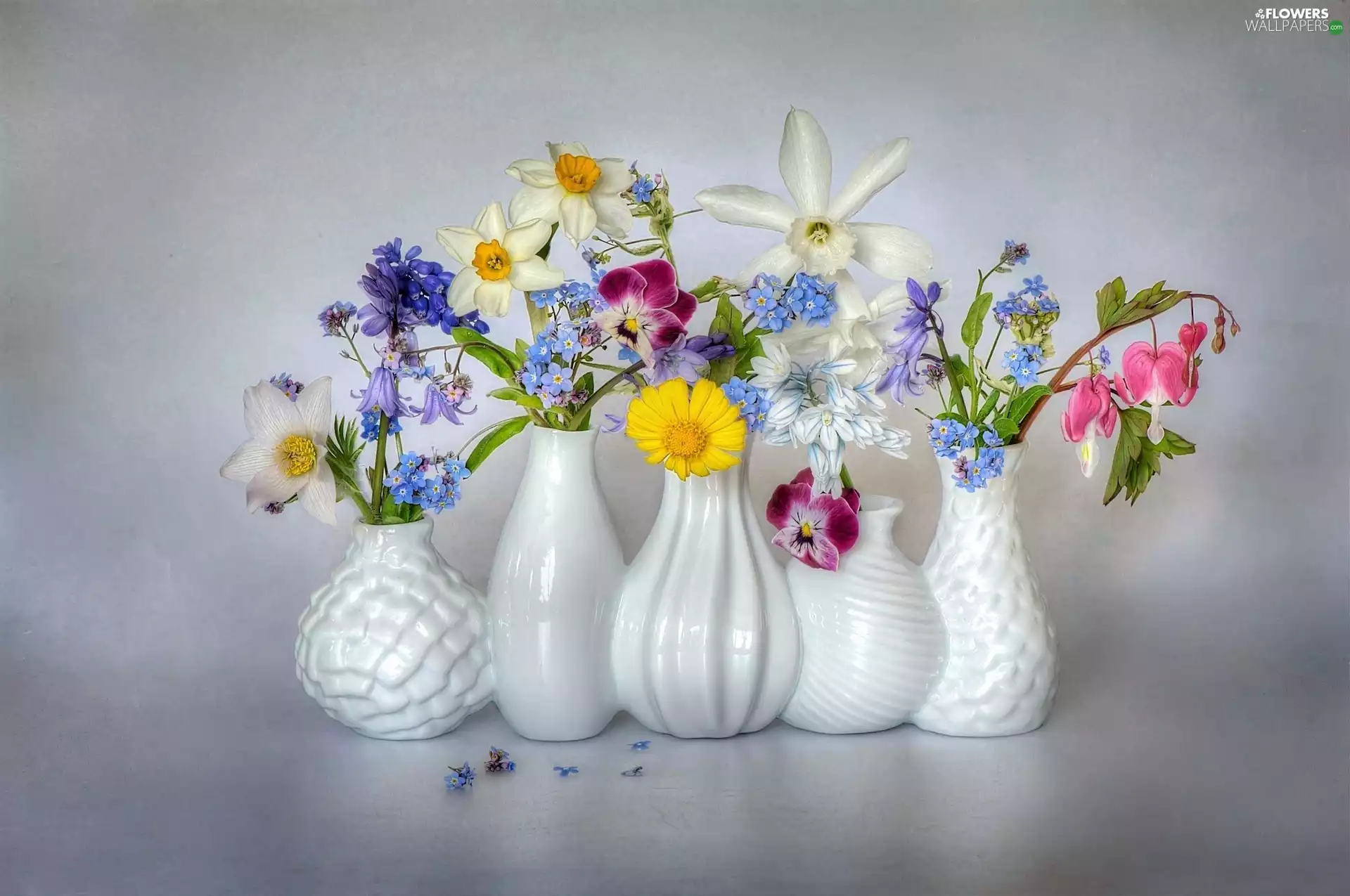 Bouquets of Flowers, decoration, vases