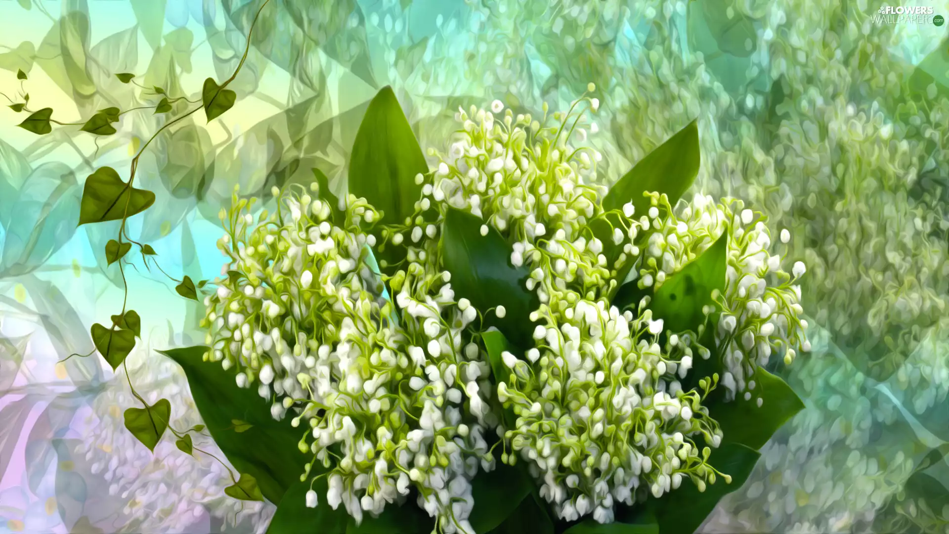 lily of the Valley, graphics