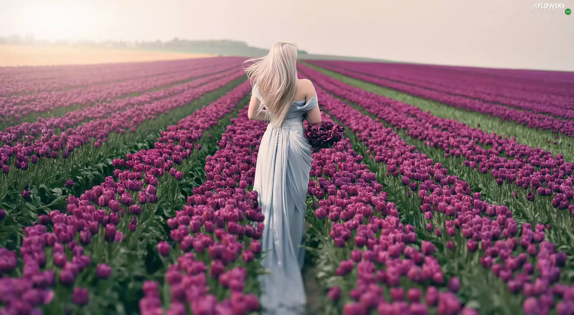 Field of Tulips, Women, Blonde