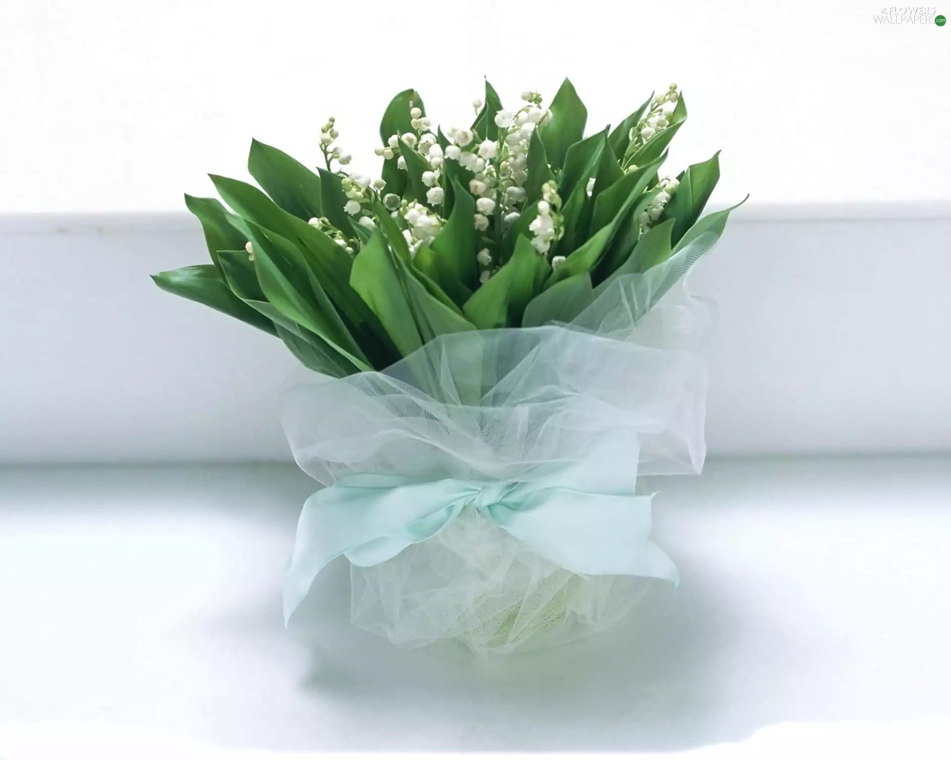 small bunch, Lily of the Valley