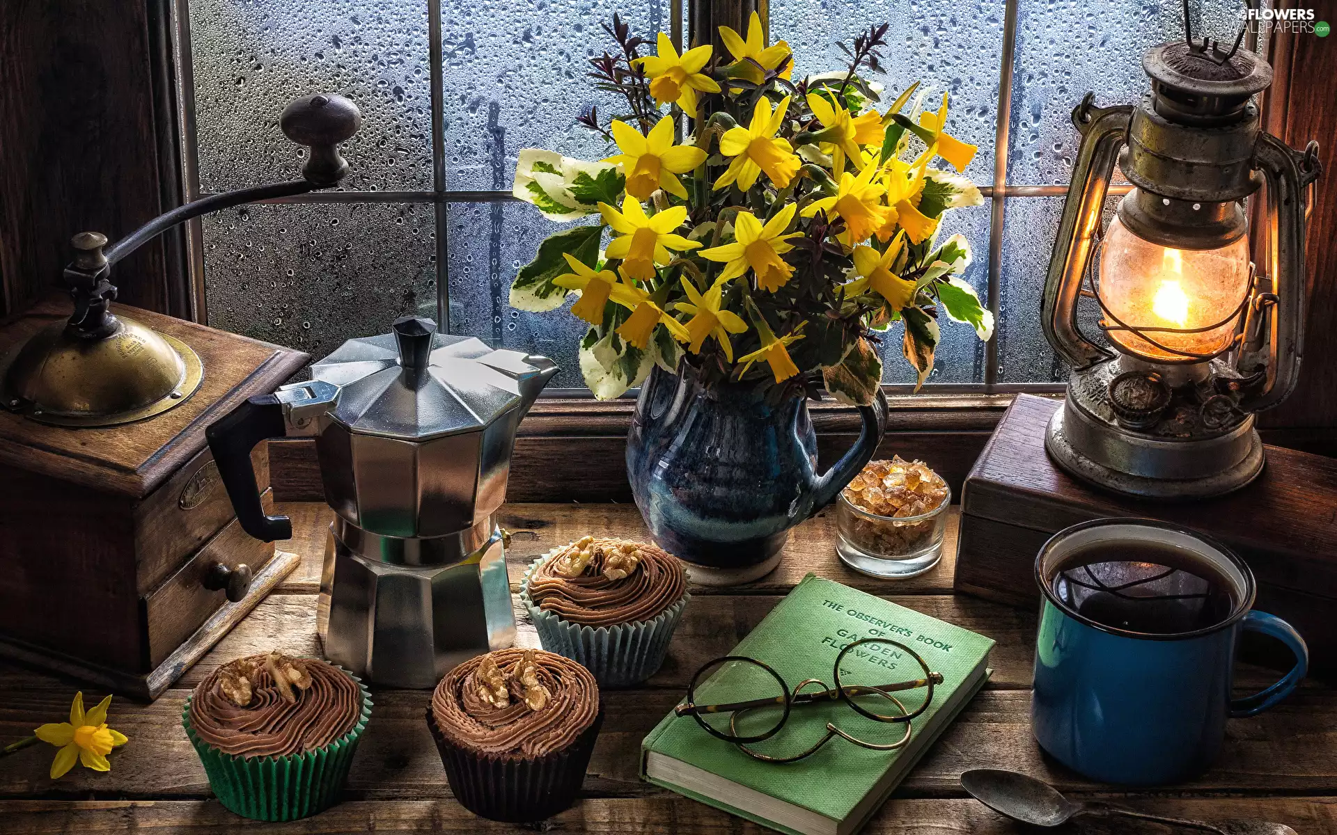 Oil Lamp, Window, mill, Jonquil, composition, Coffee Percolator, Muffins
