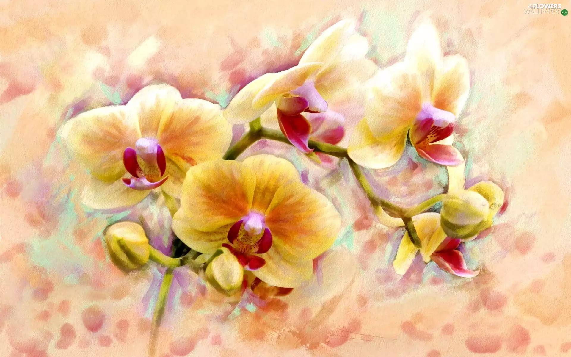 oil, orchids, picture