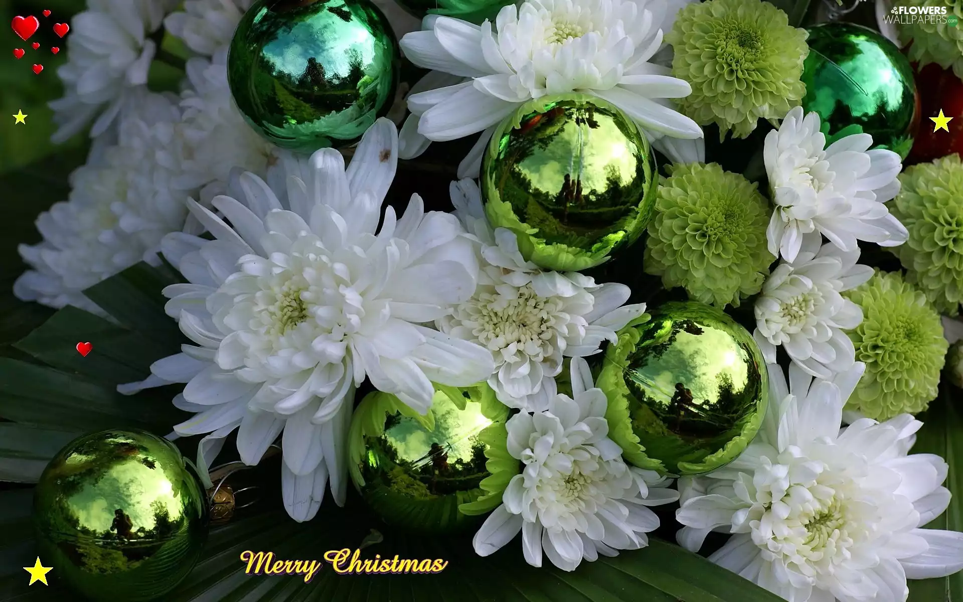 color, baubles, green ones, Chrysanthemums, White