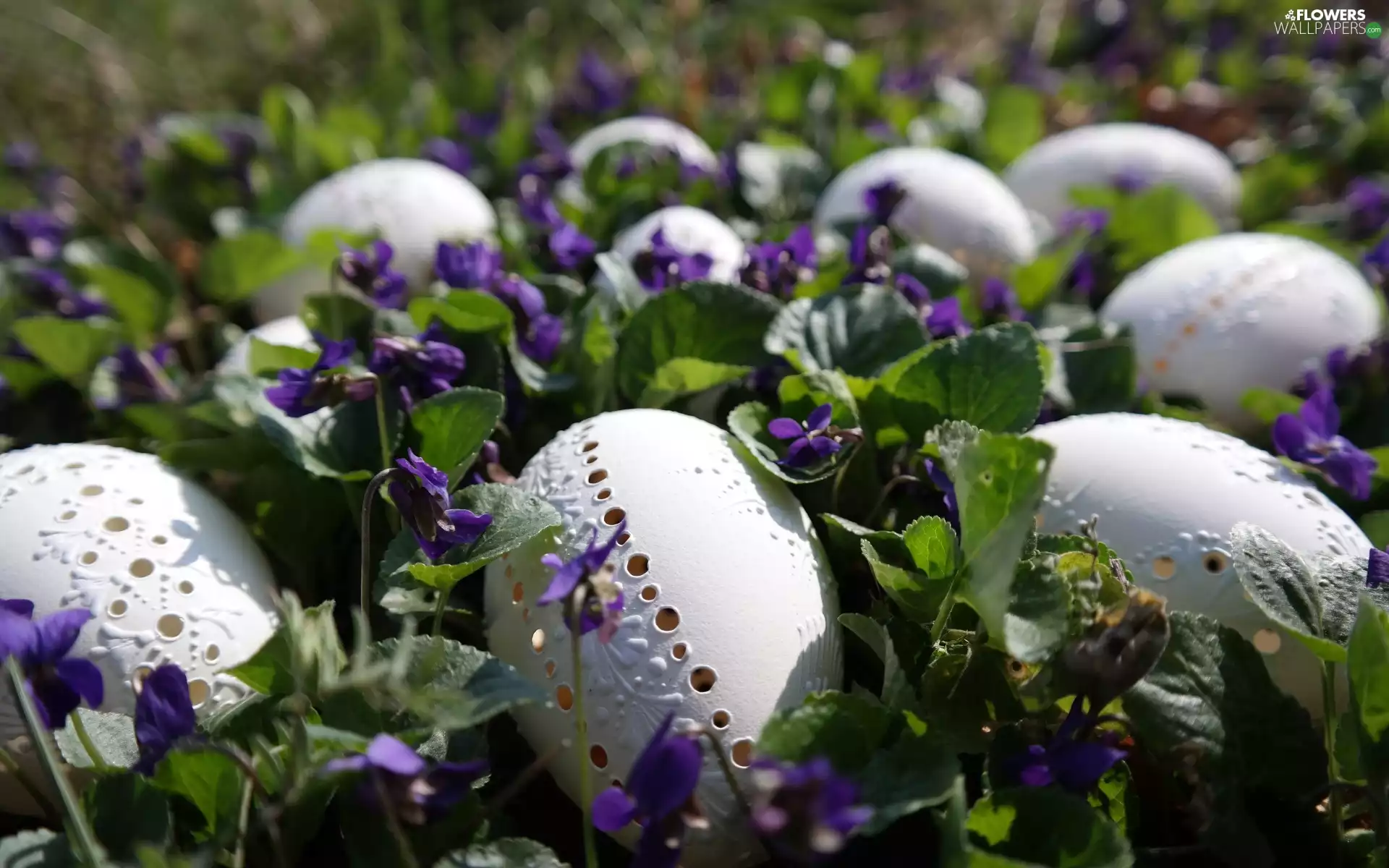 Easter, Openwork, fragrant violets, eggs