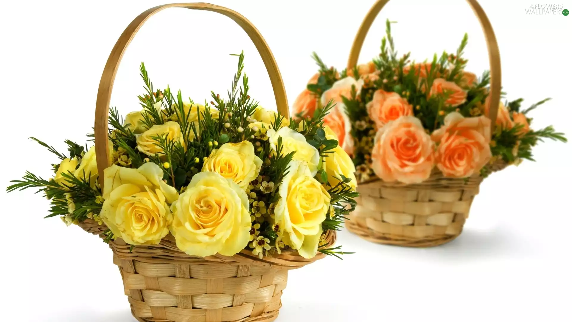 Baskets, Two cars, Orange, roses, Yellow, wicker