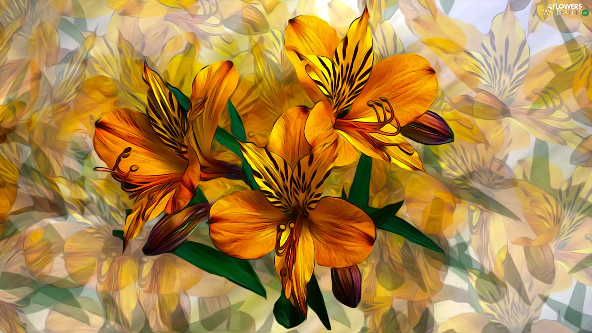 Flowers, Alstroemeria, graphics, Orange