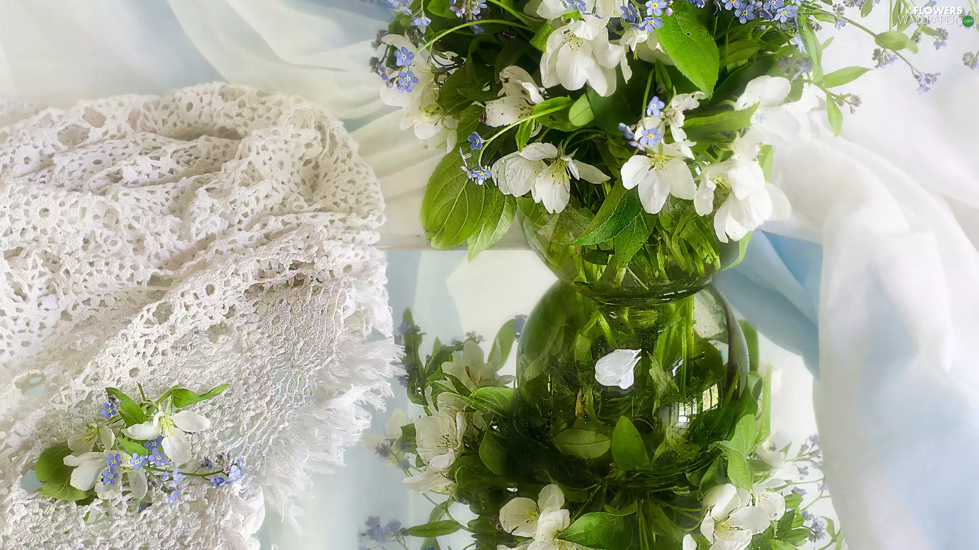 tablecloth, reflection, Mock-orange, vase, Forget