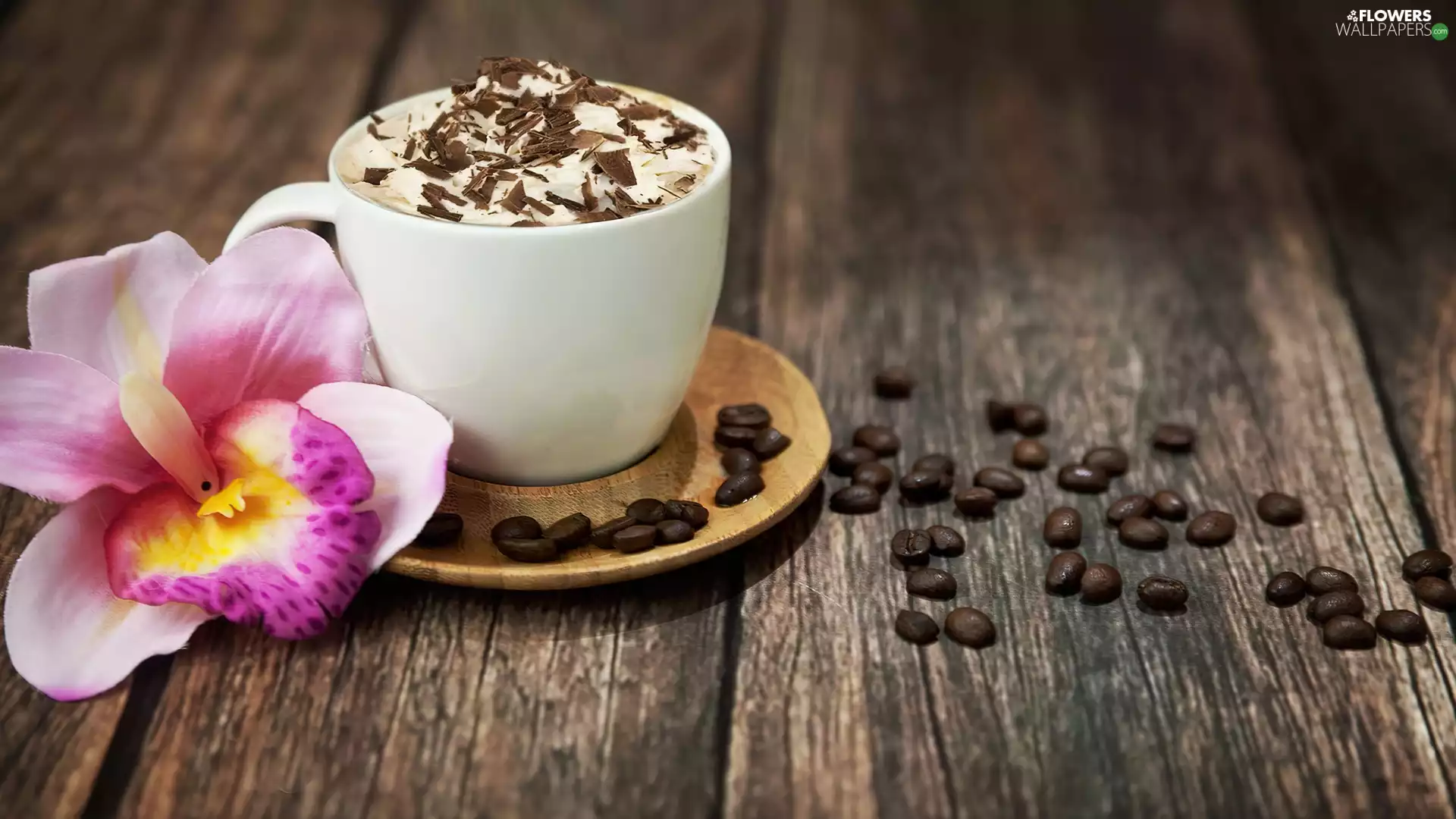 coffee, orchid, cup, grains, White