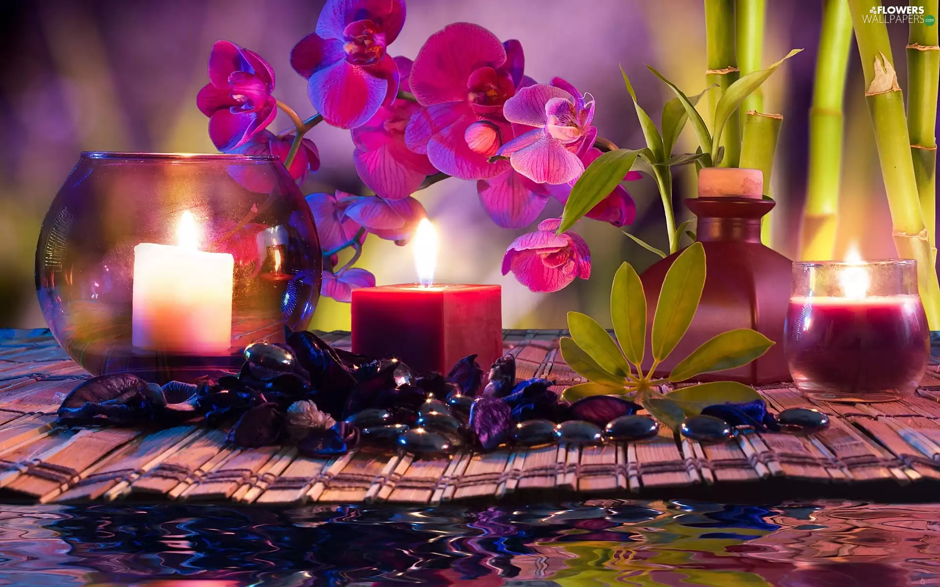 Candles, Spa, composition, orchids