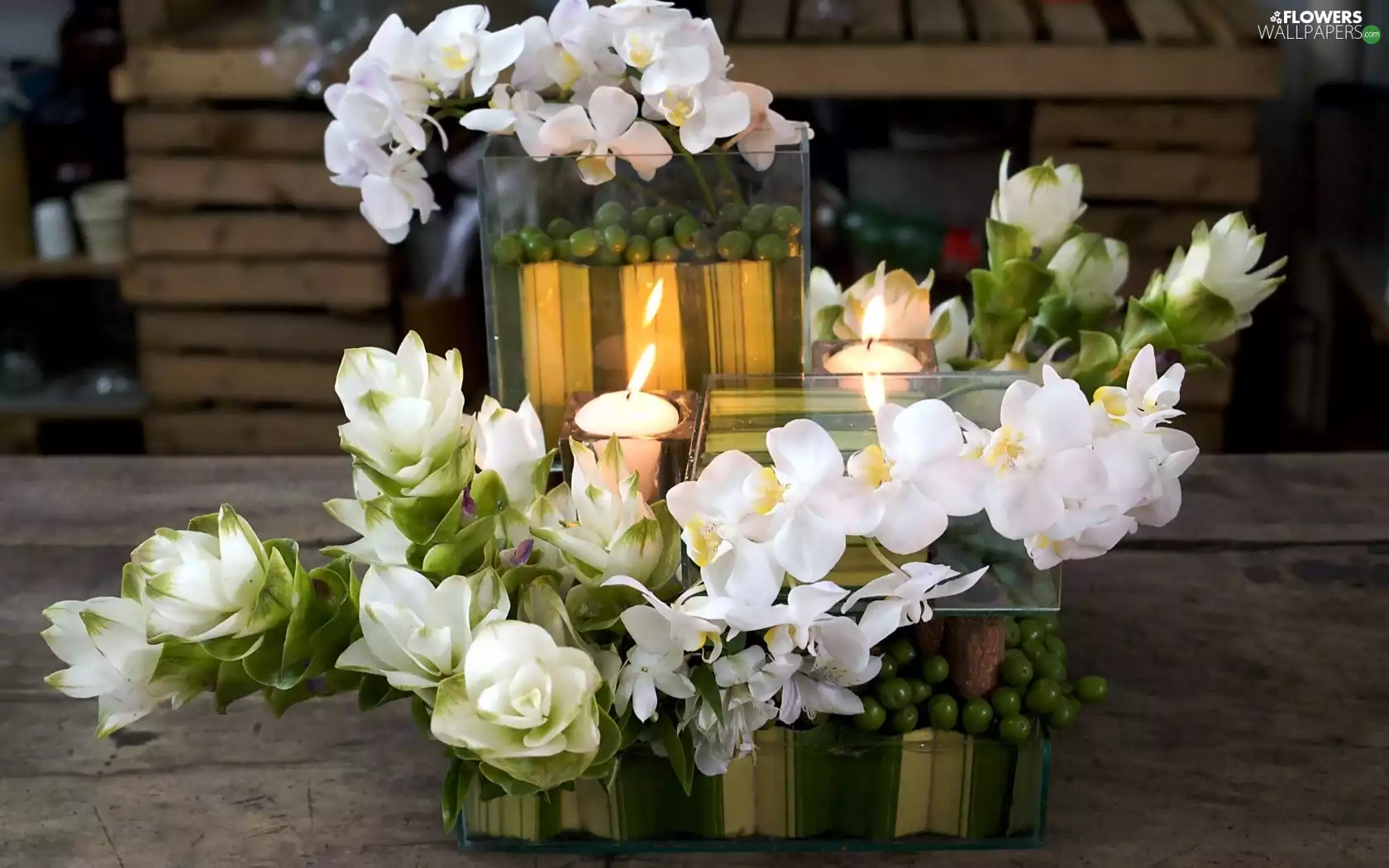 orchids, composition, Candles