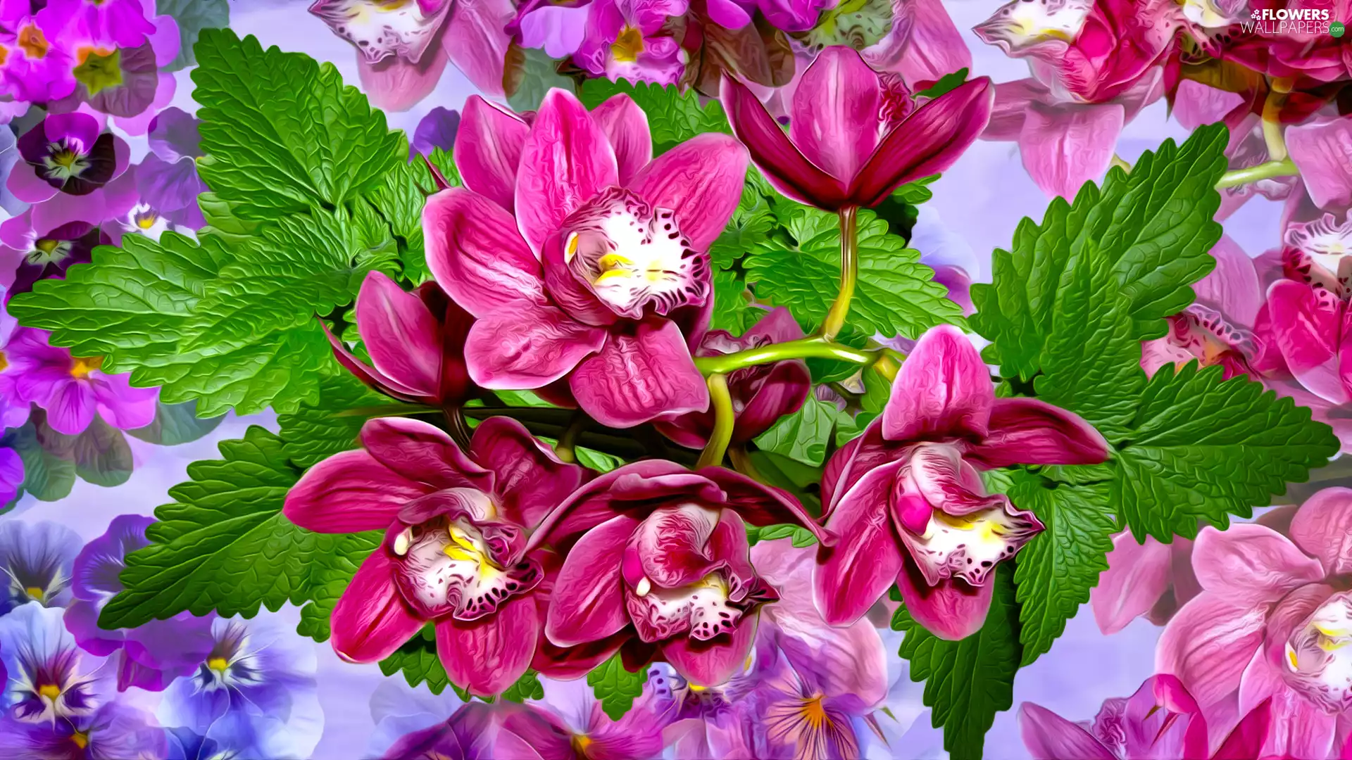 Flowers, leaves, graphics, orchids