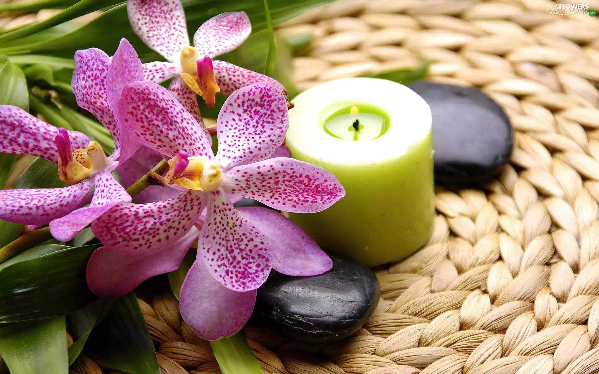 Spa, Candle, Stones, orchids