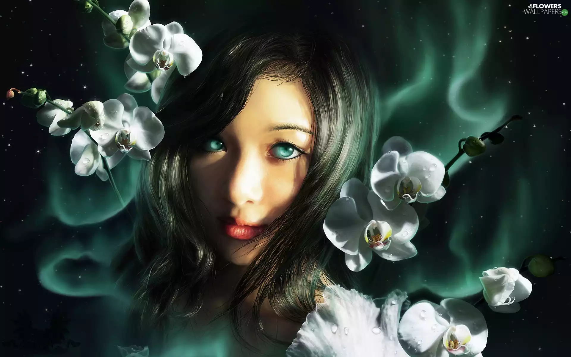 orchids, Women, universe
