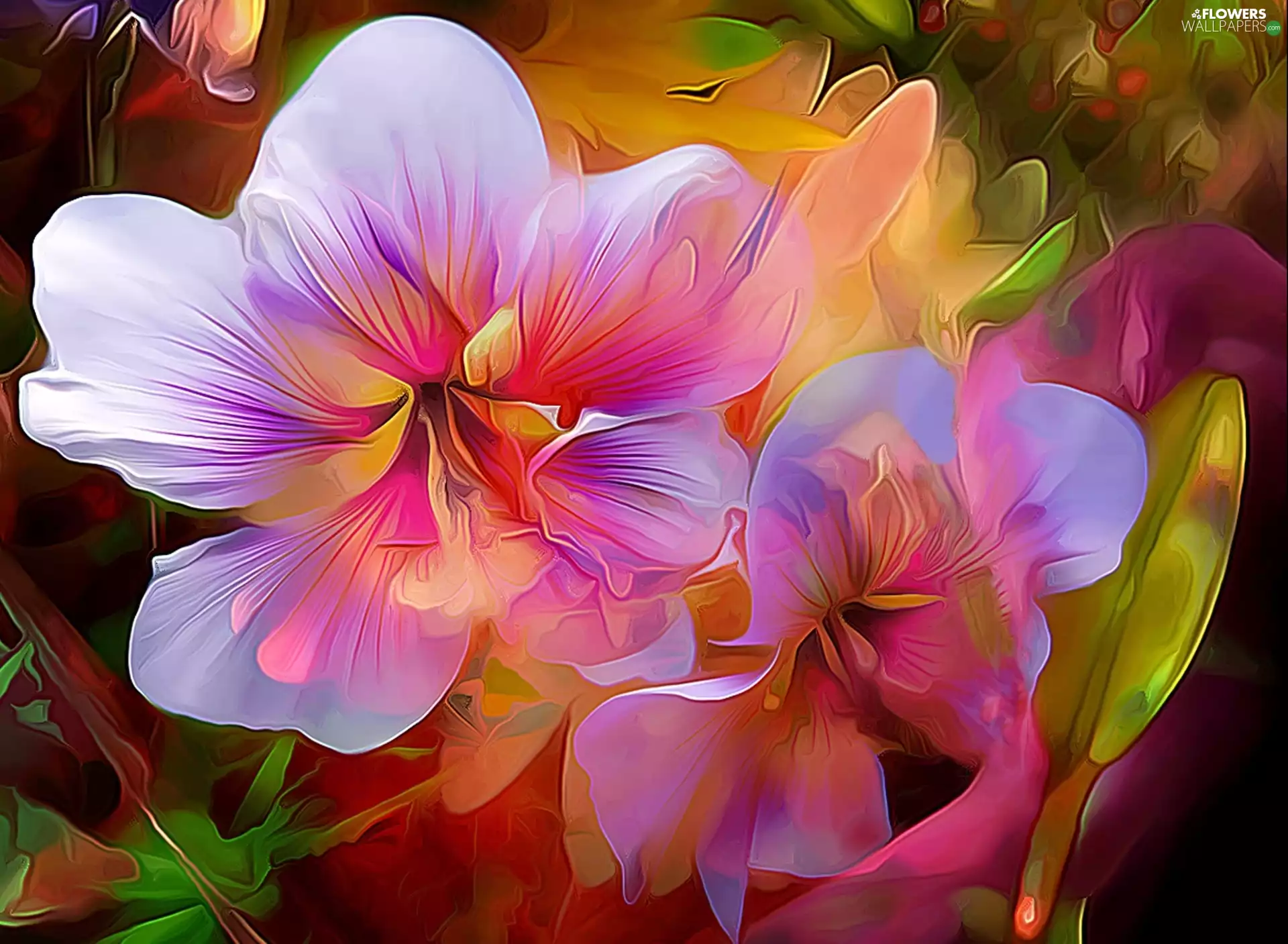 Paintography, hibiskus