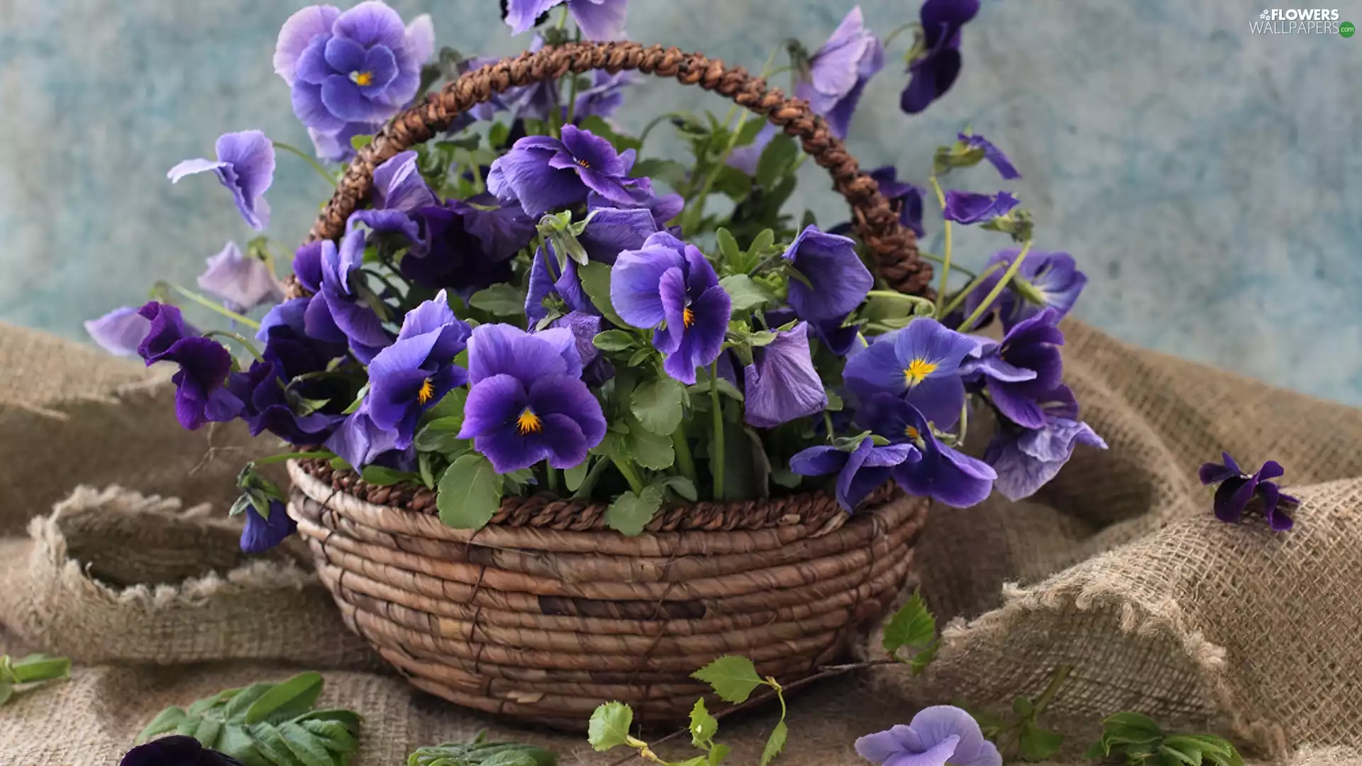 pansies, basket, bouquet