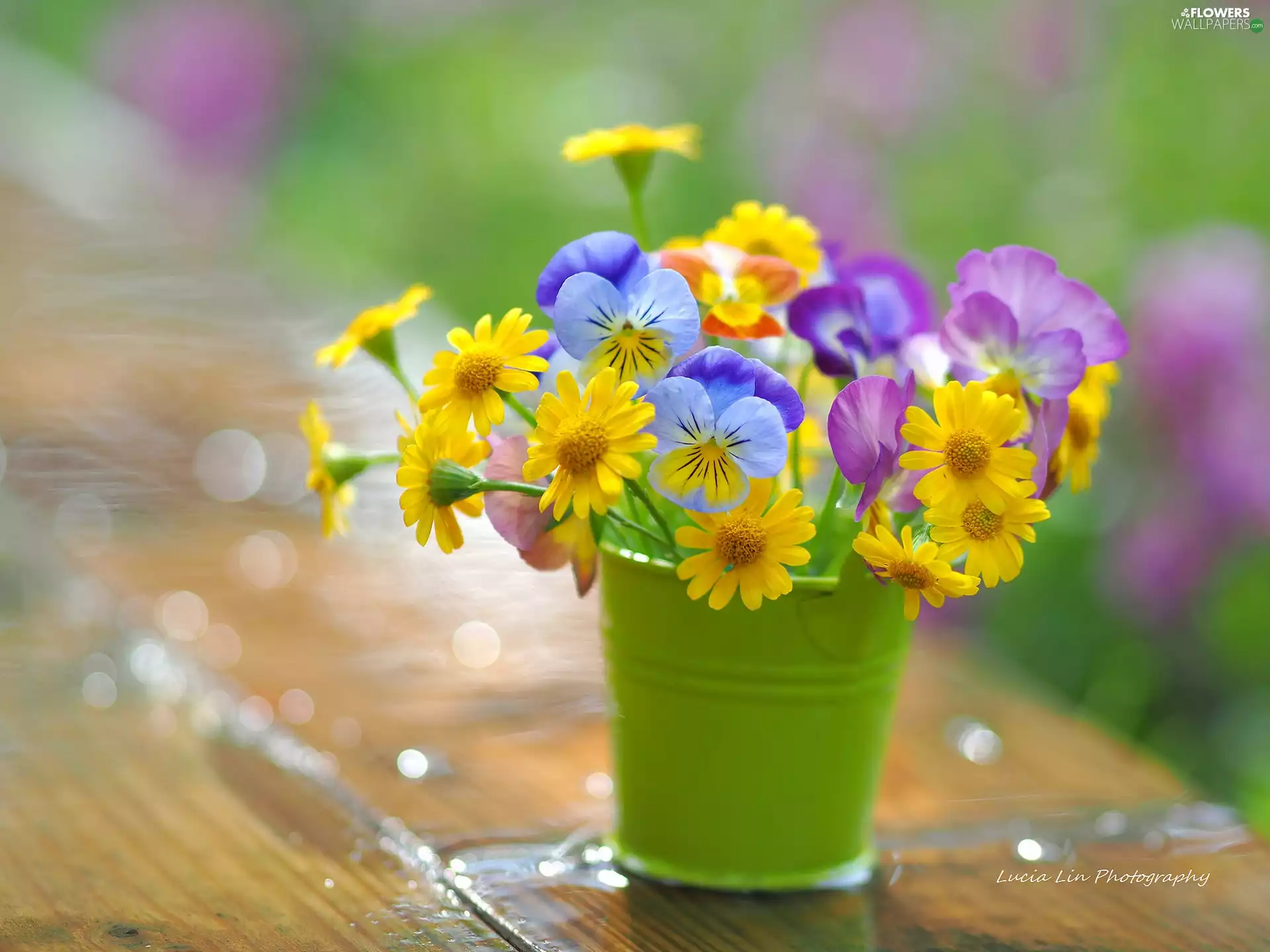 Flowers, bouquet, Bucket, pansies