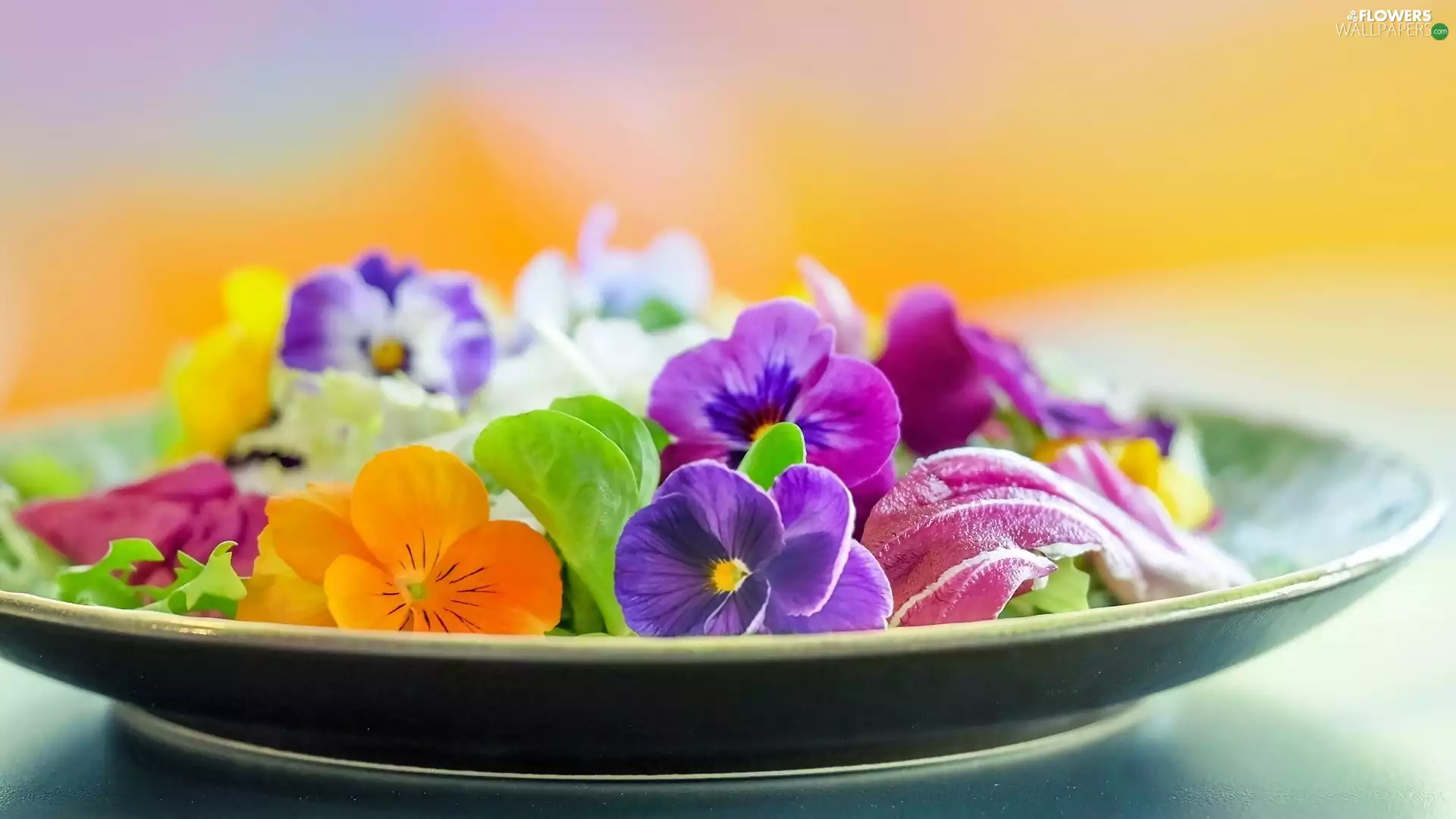 pansies, plate, Flowers
