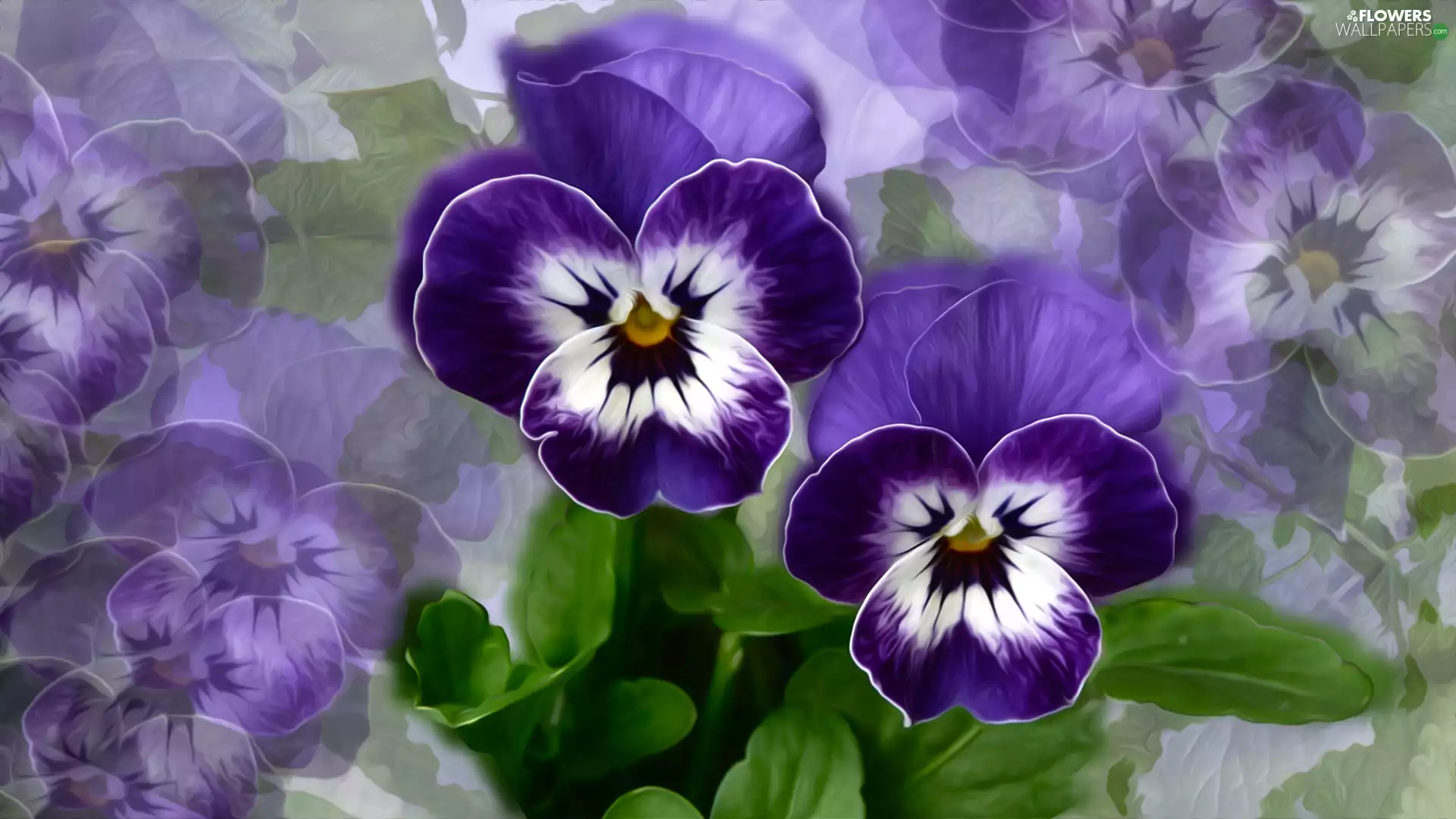 Flowers, pansies, graphics, Two cars